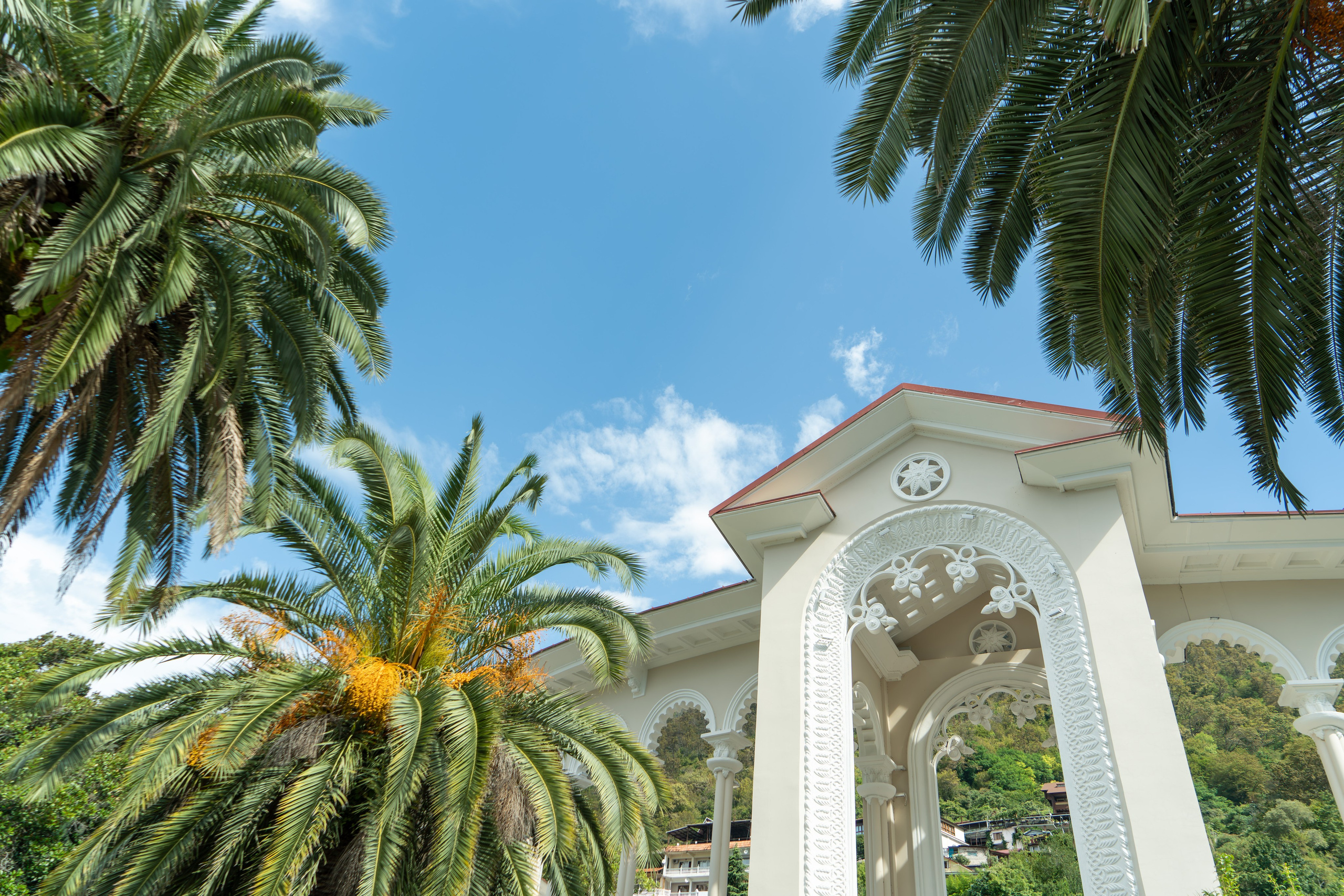 MICE мероприятие — тур по Абхазии. Репортажный фотограф в Красной Поляне и Сочи Павлюченко Екатерина