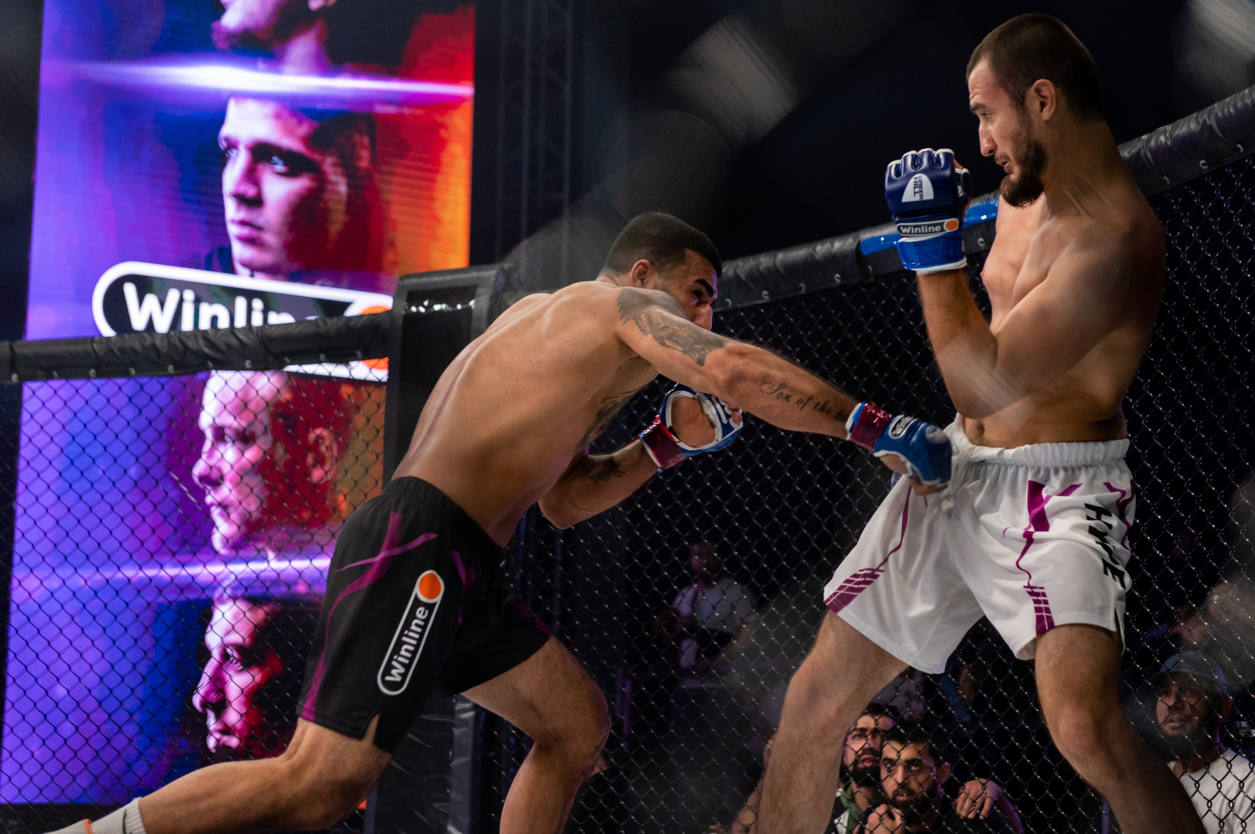 Бои. Репортажный фотограф в Красной Поляне и Сочи Павлюченко Екатерина