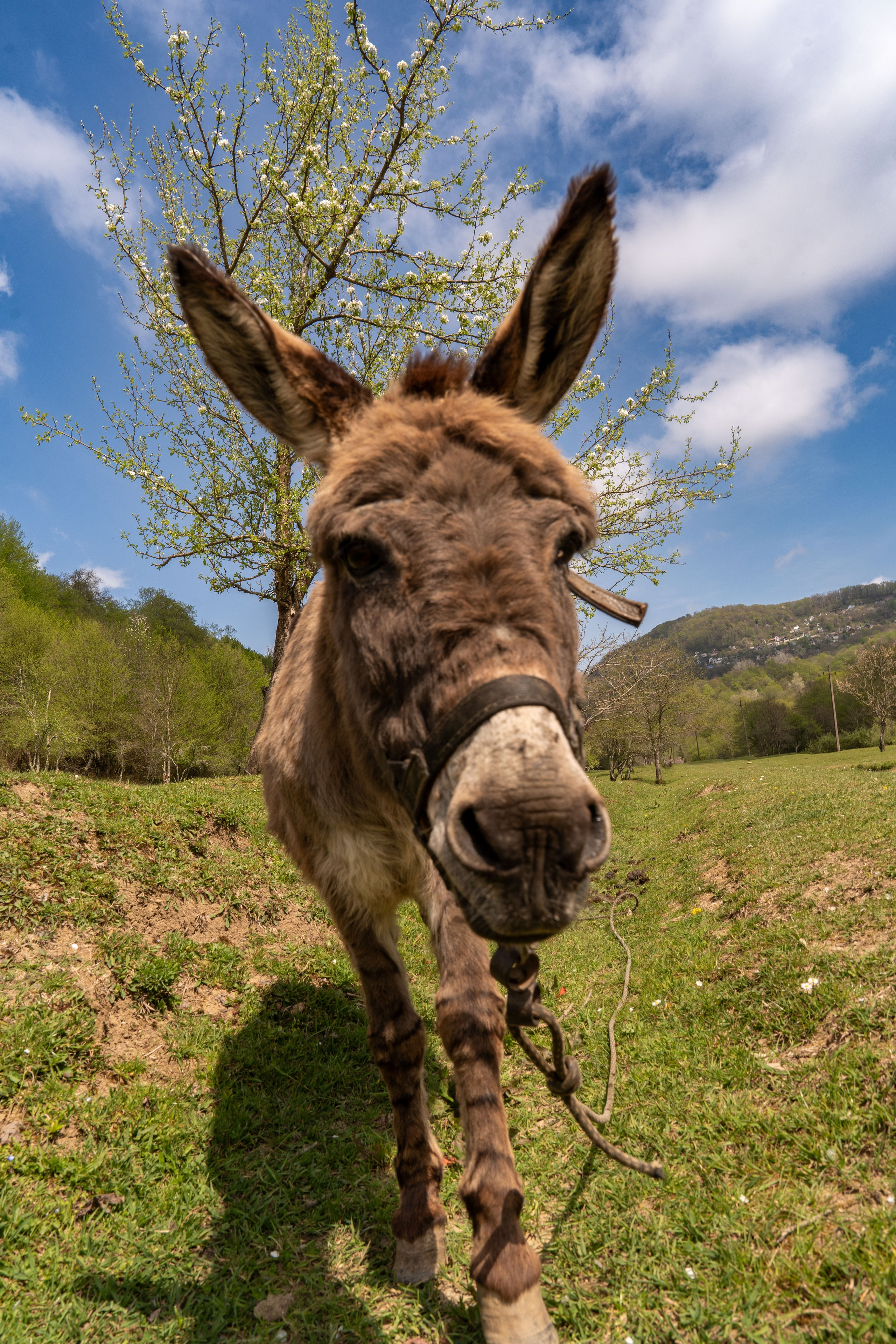 MICE мероприятие — джиппинг на каньон Псахо. Репортажный фотограф в Красной Поляне и Сочи Павлюченко Екатерина