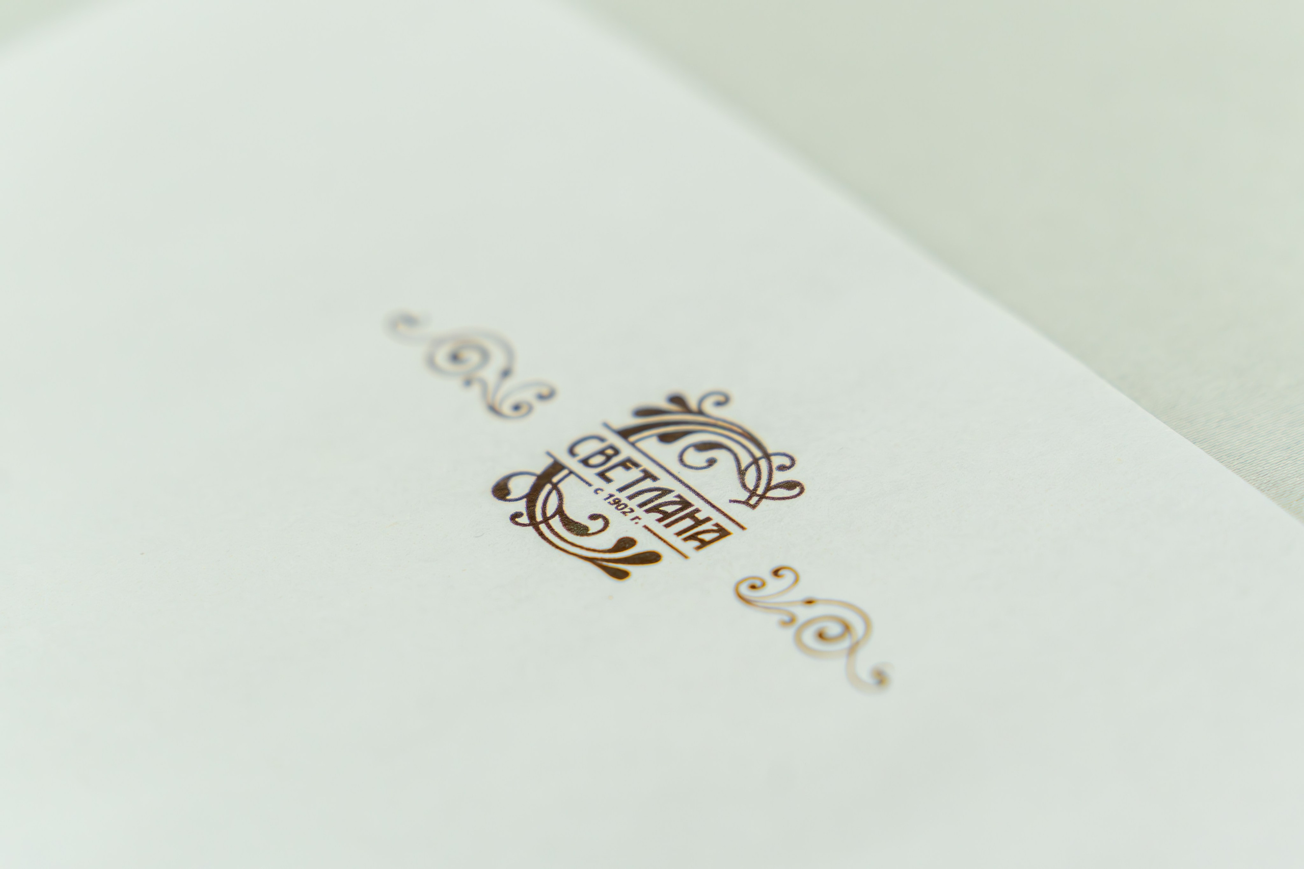 ЦСТЭ холдинг 2023. Репортажный фотограф в Красной Поляне и Сочи Павлюченко Екатерина