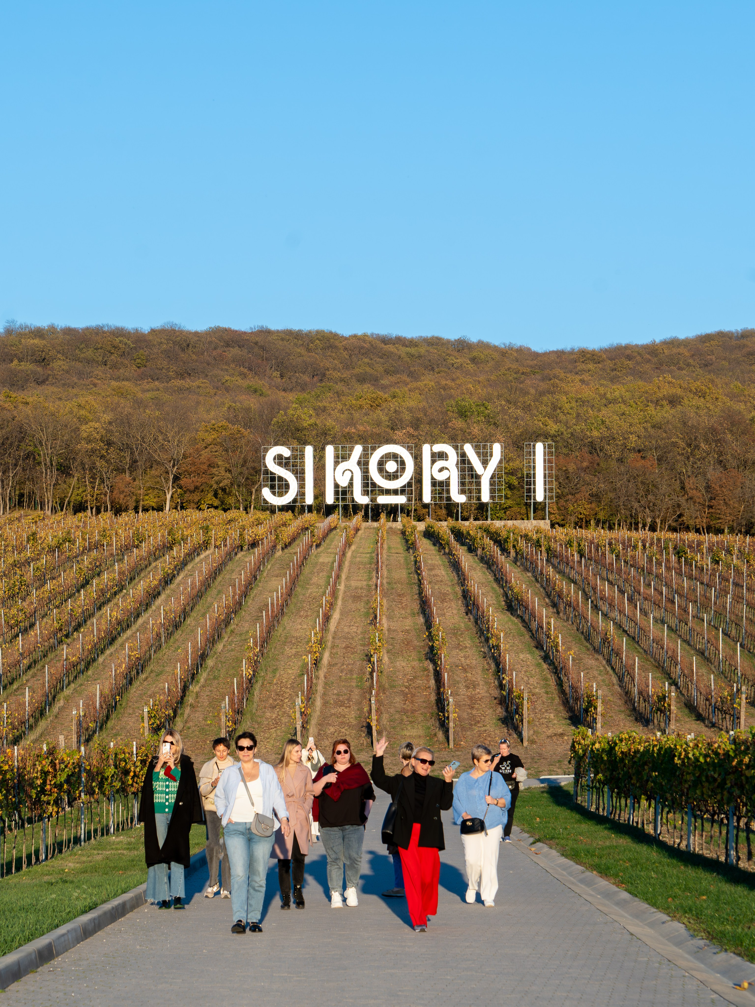 Литературная мастерская с Ольгой Шутовой в «Винотеррии». Репортажный фотограф в Красной Поляне и Сочи Павлюченко Екатерина