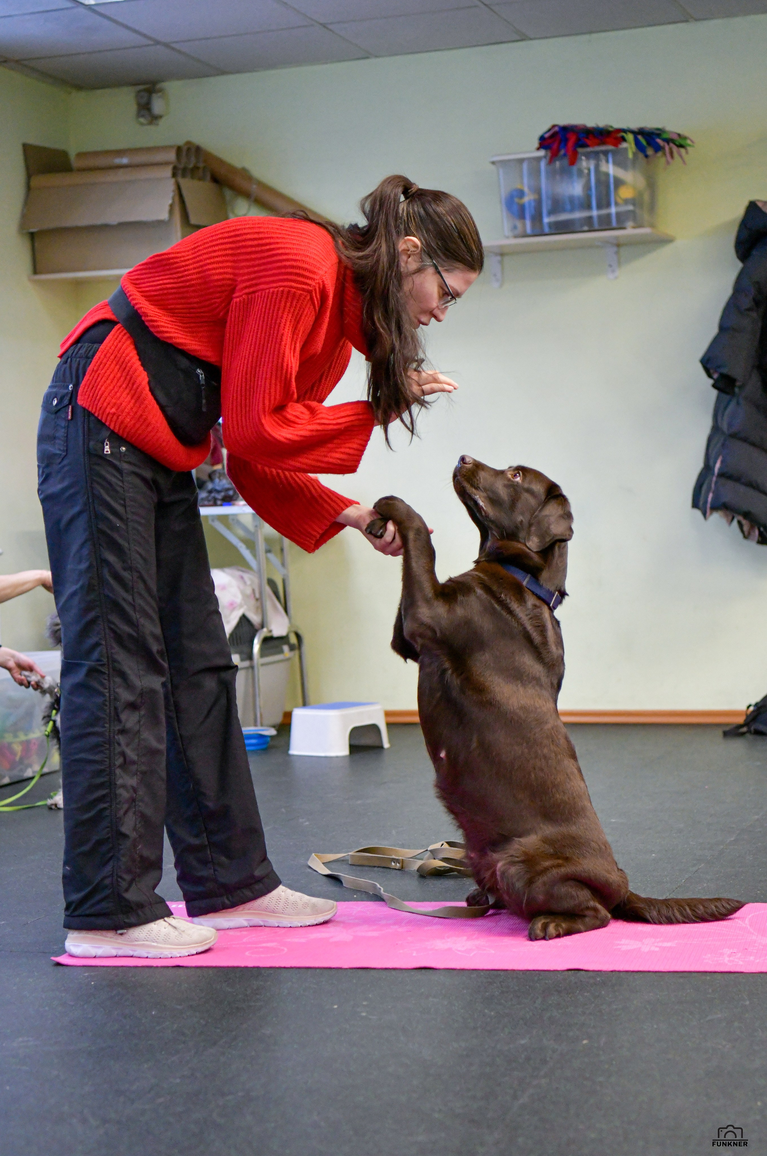 Кинологический клуб «Бодрый хвост». Свой взгляд через объектив