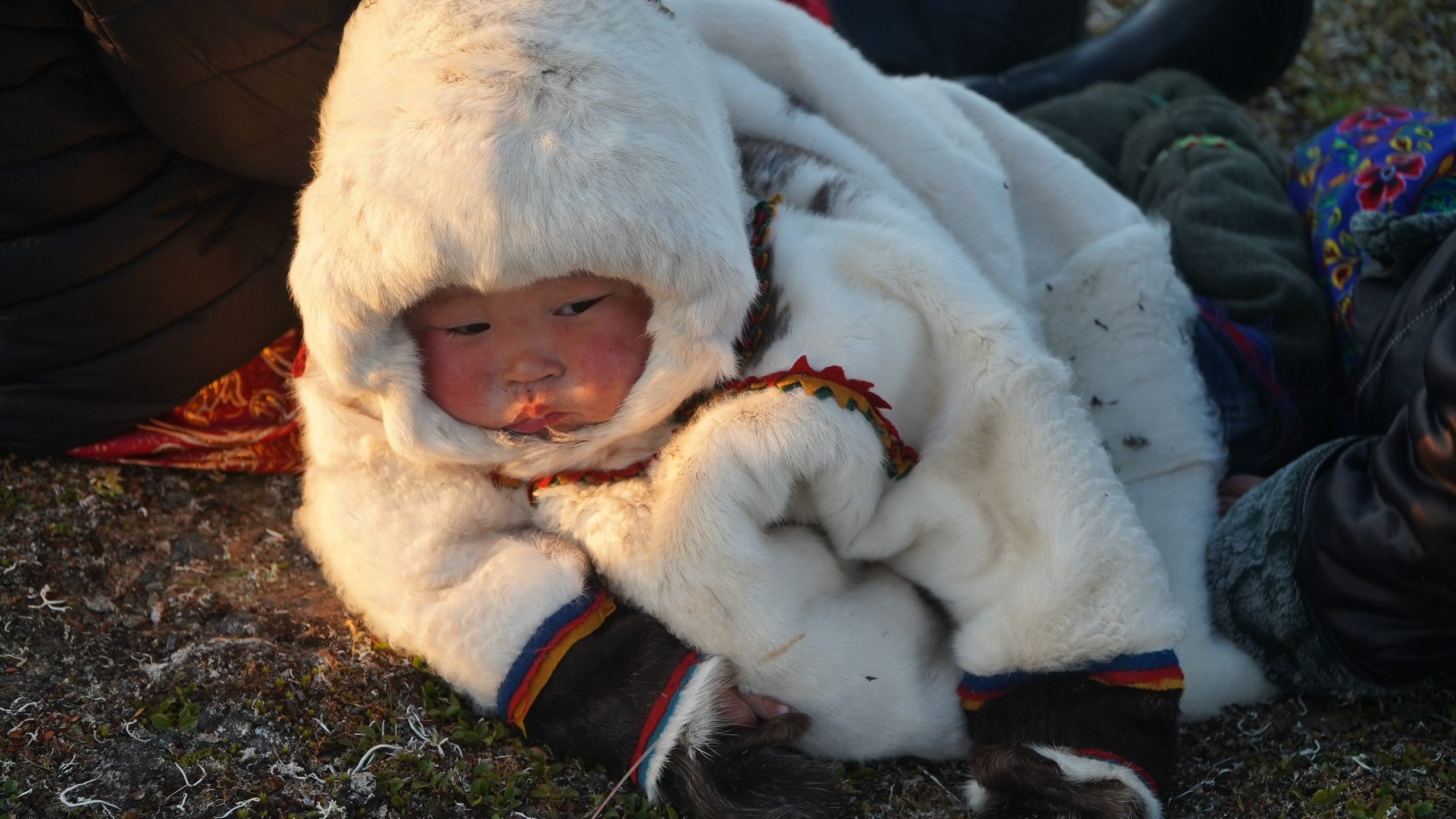 Амдерма — наука (2020 г.). Фотоальбом показывающий увлекательный мир авиации и мир медведей Андрея Иванова