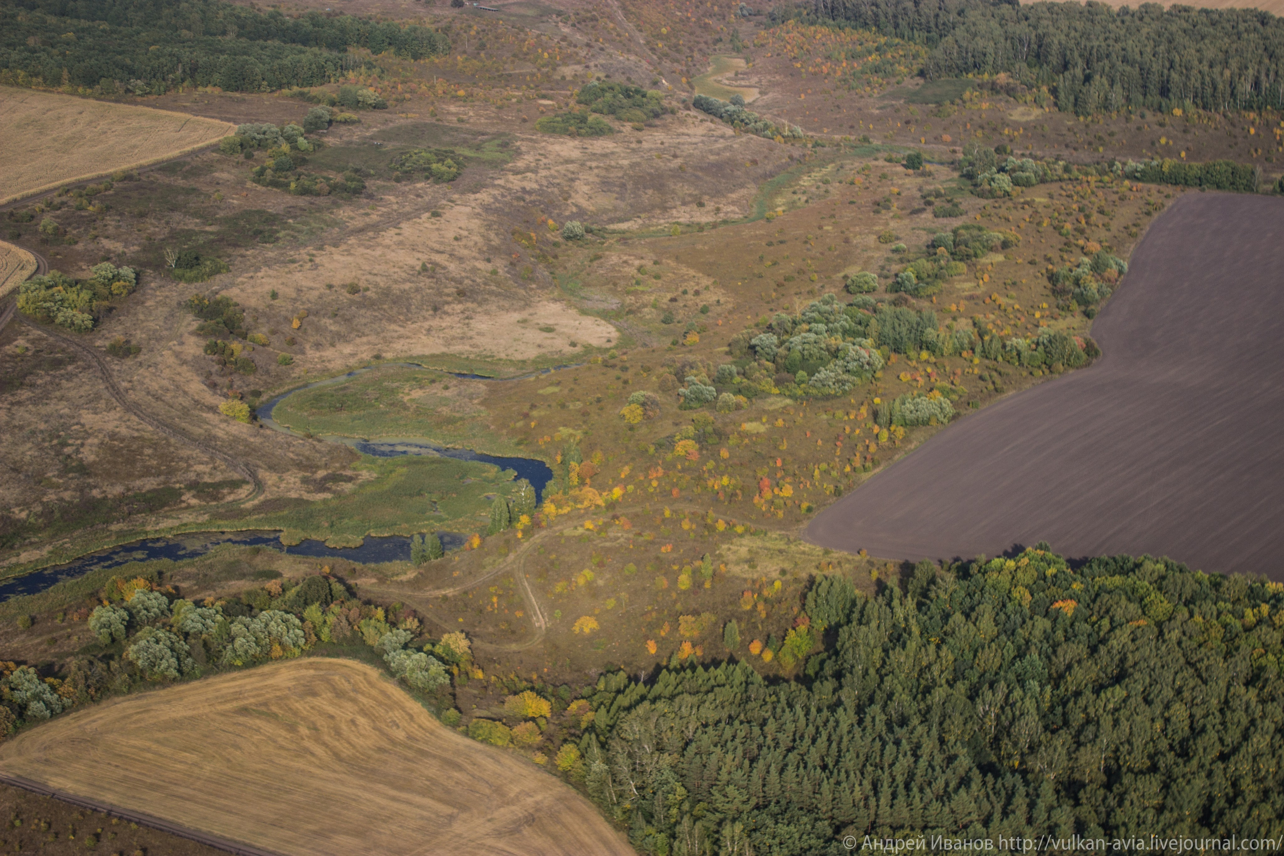 Волгодонск аэр. Потапов слёт «Небо для всех» (2021 г.). Фотоальбом показывающий увлекательный мир авиации и мир медведей Андрея Иванова