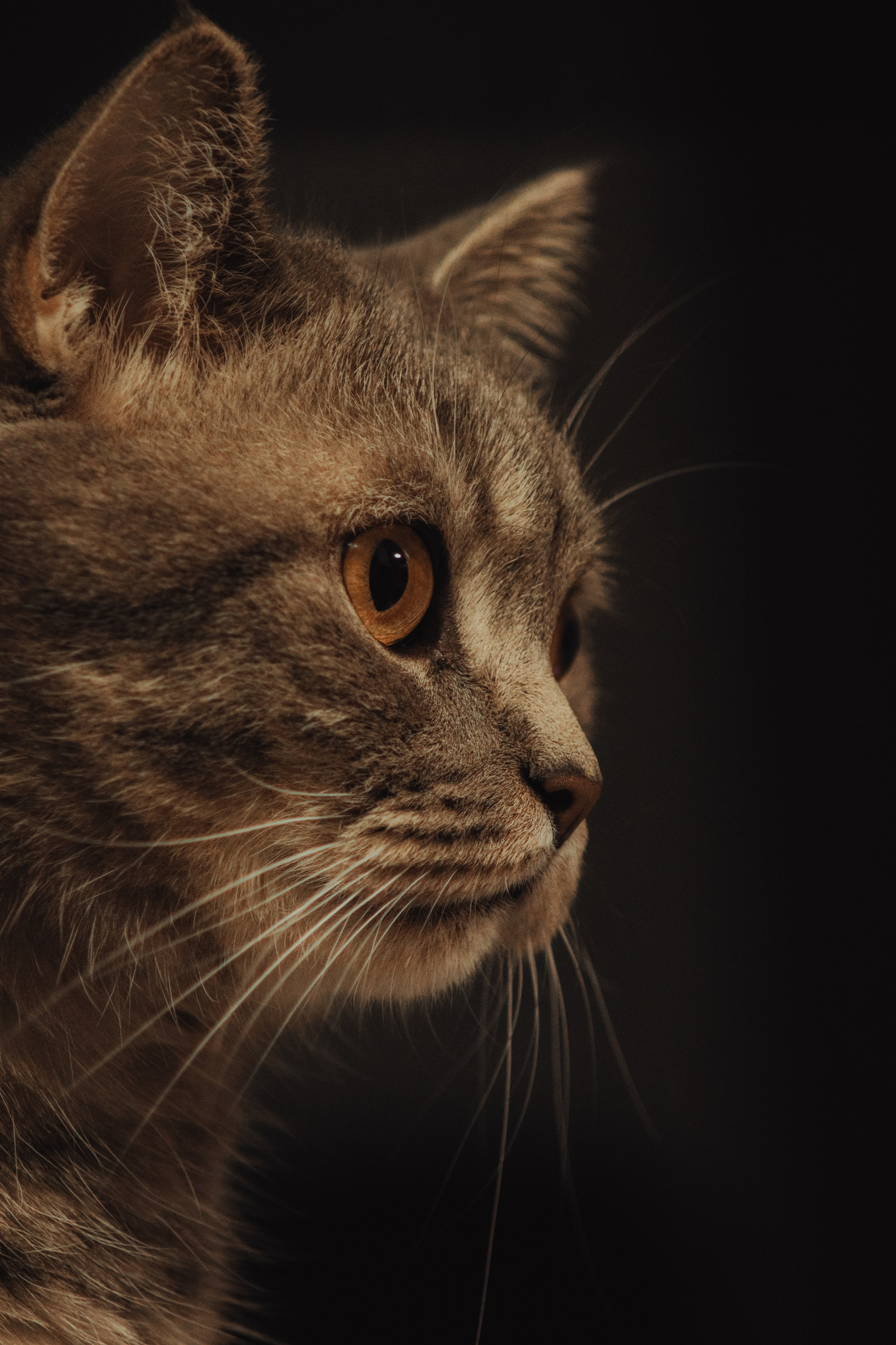 М А Р Т И Н. — Digital Noise —