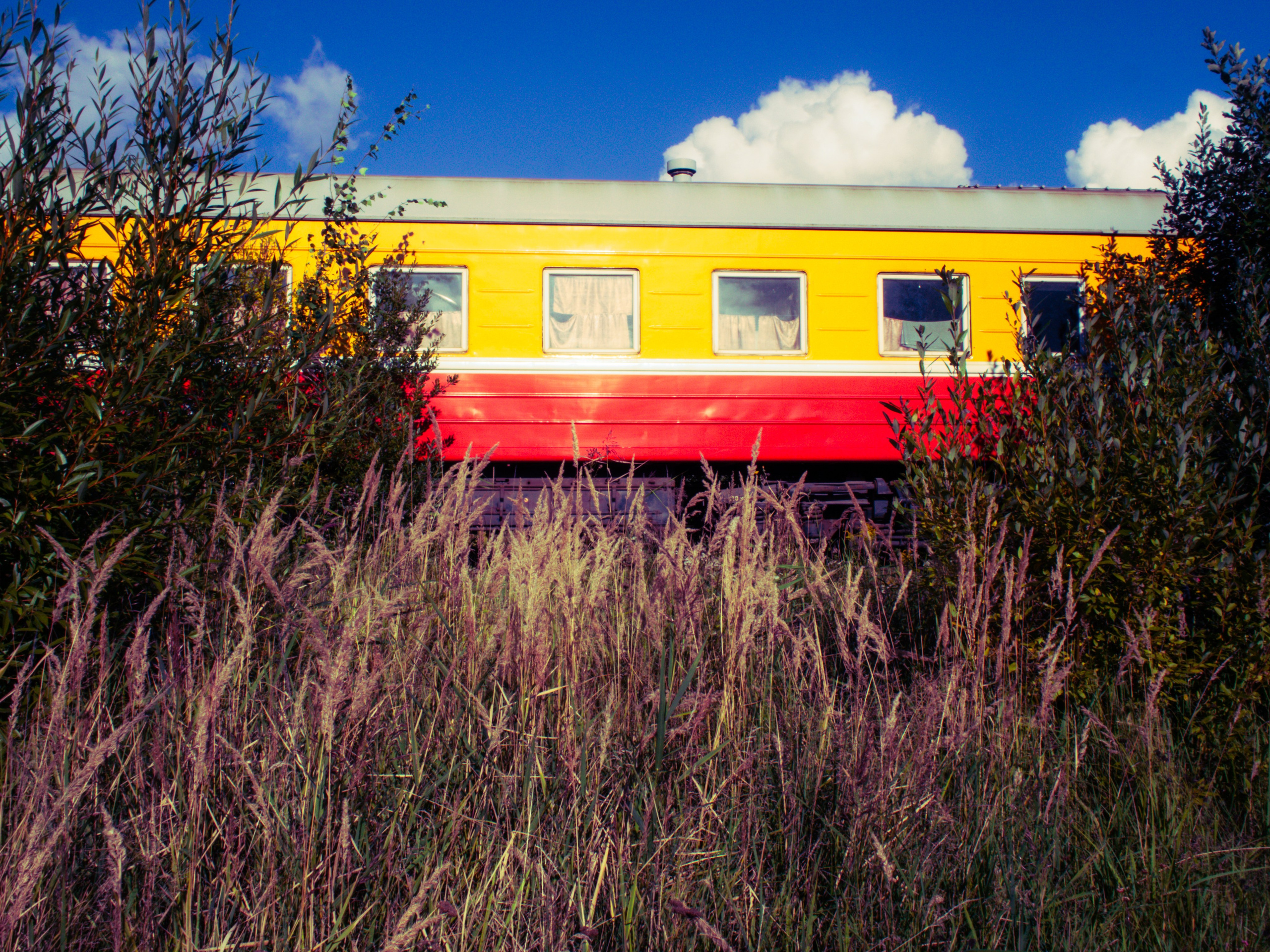 Safer Path. Visual artist