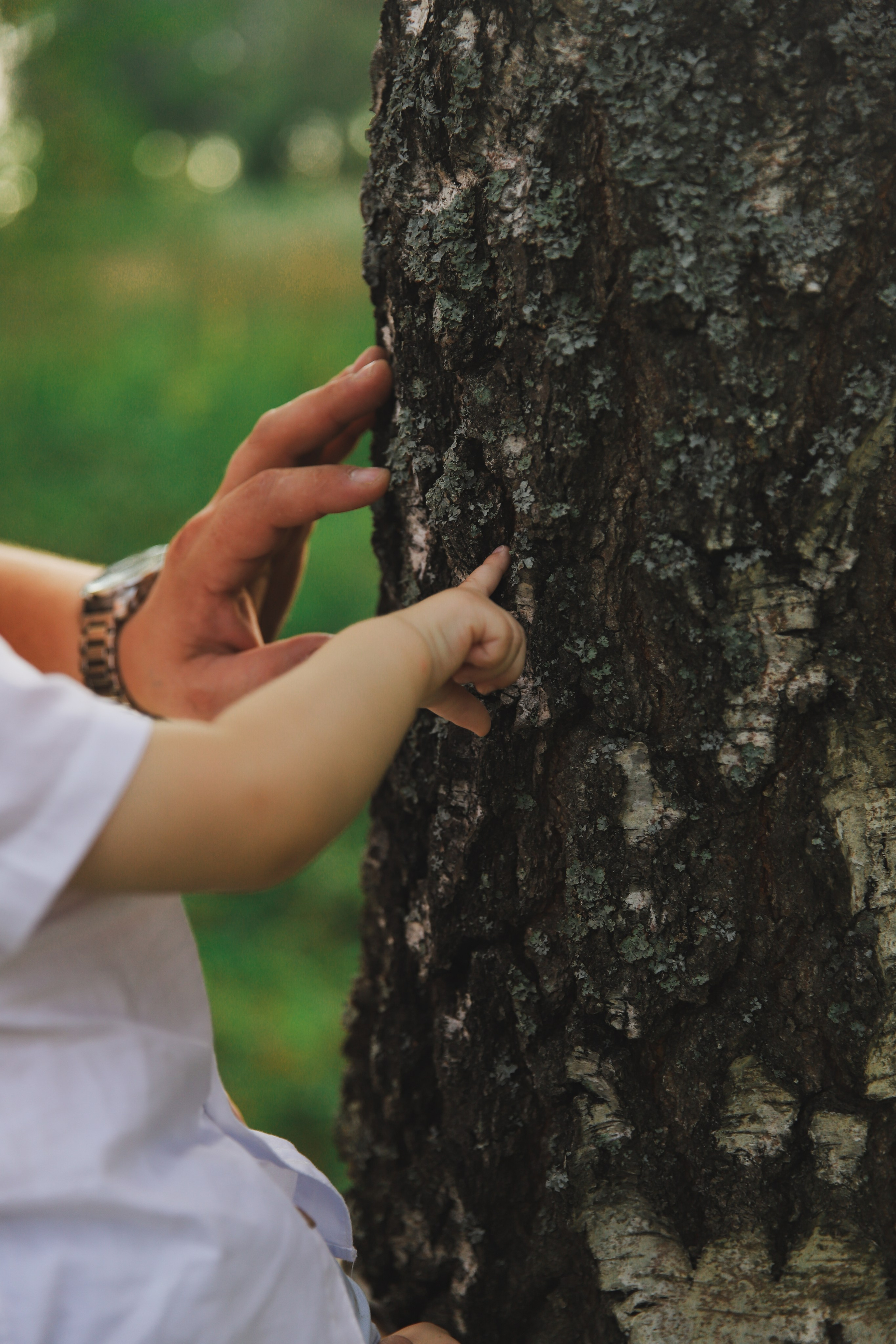 Сергей, Василиса и Миша. Фотограф Москва и МО Анастасия Пясковская