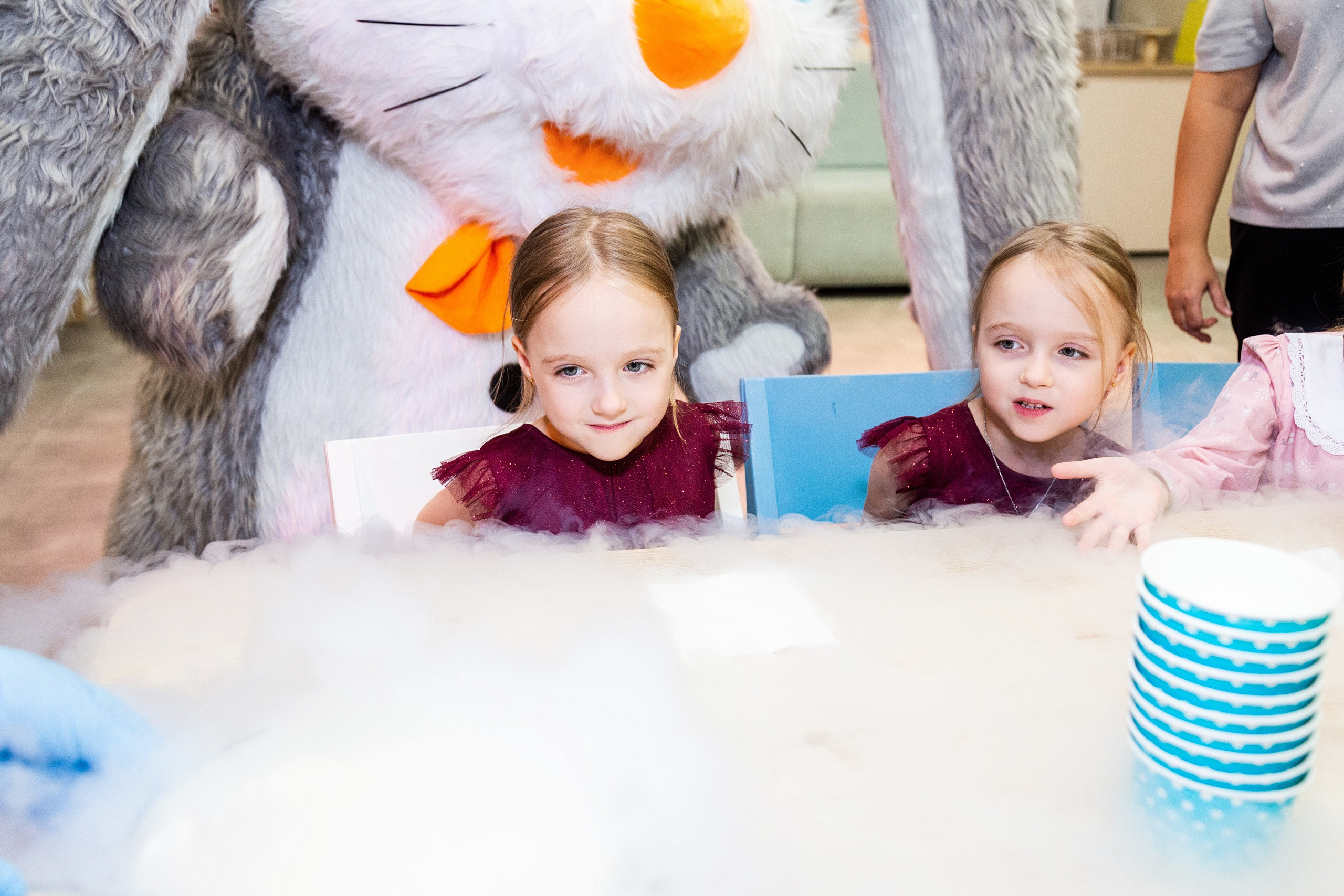 Лиде и Лизе 6 лет. Детский фотограф видеограф в Хабаровске Михаил Орлов