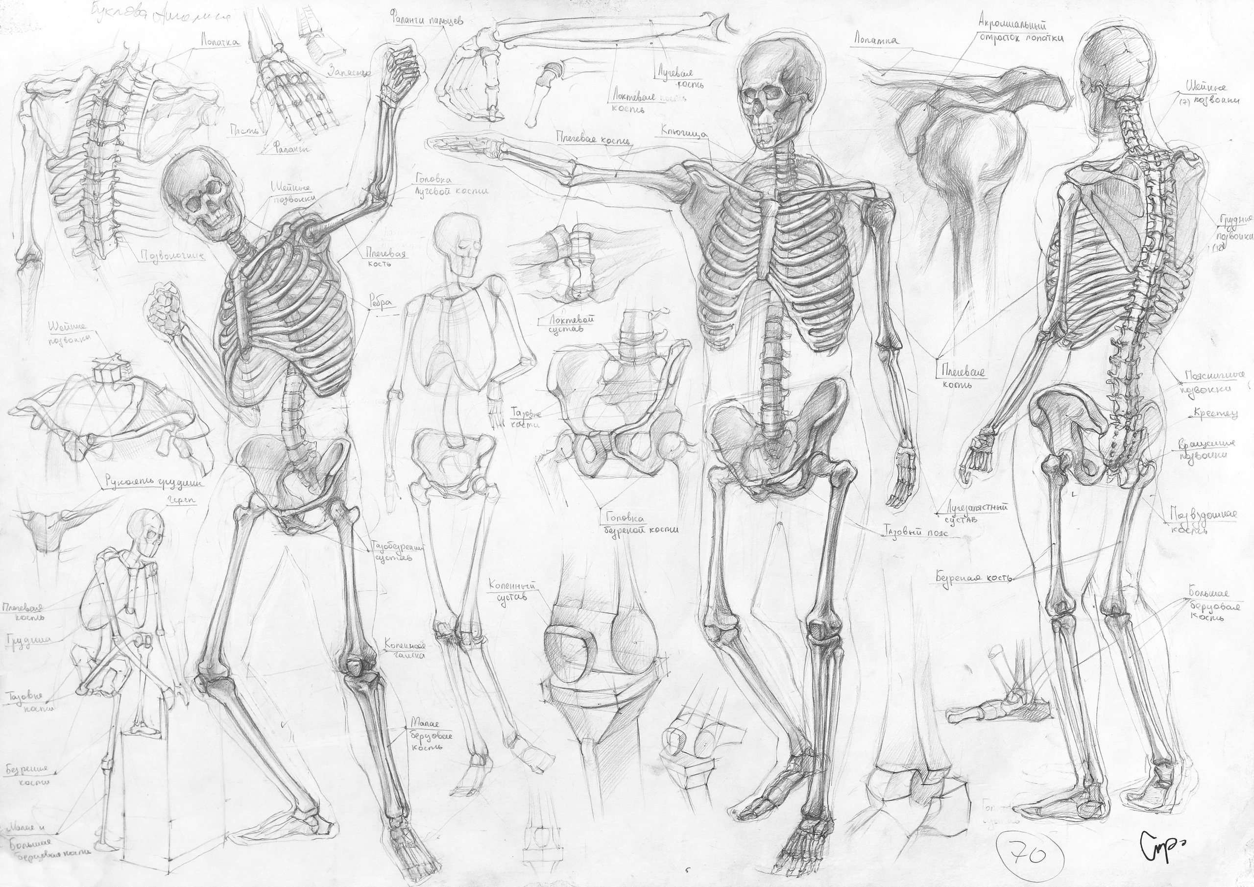 Работы студентов. Главная