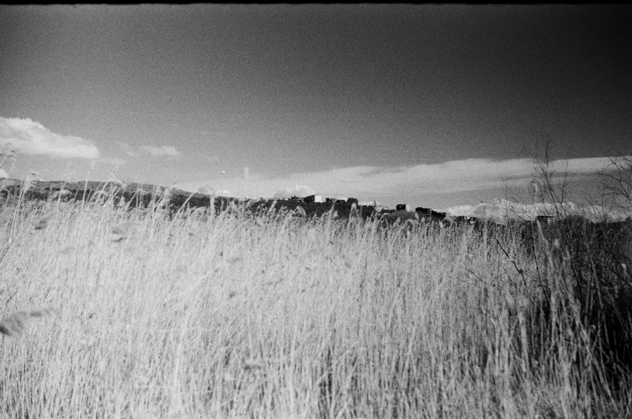 Test Film. Dmitriy [KCCC] is a pretty cool photographer