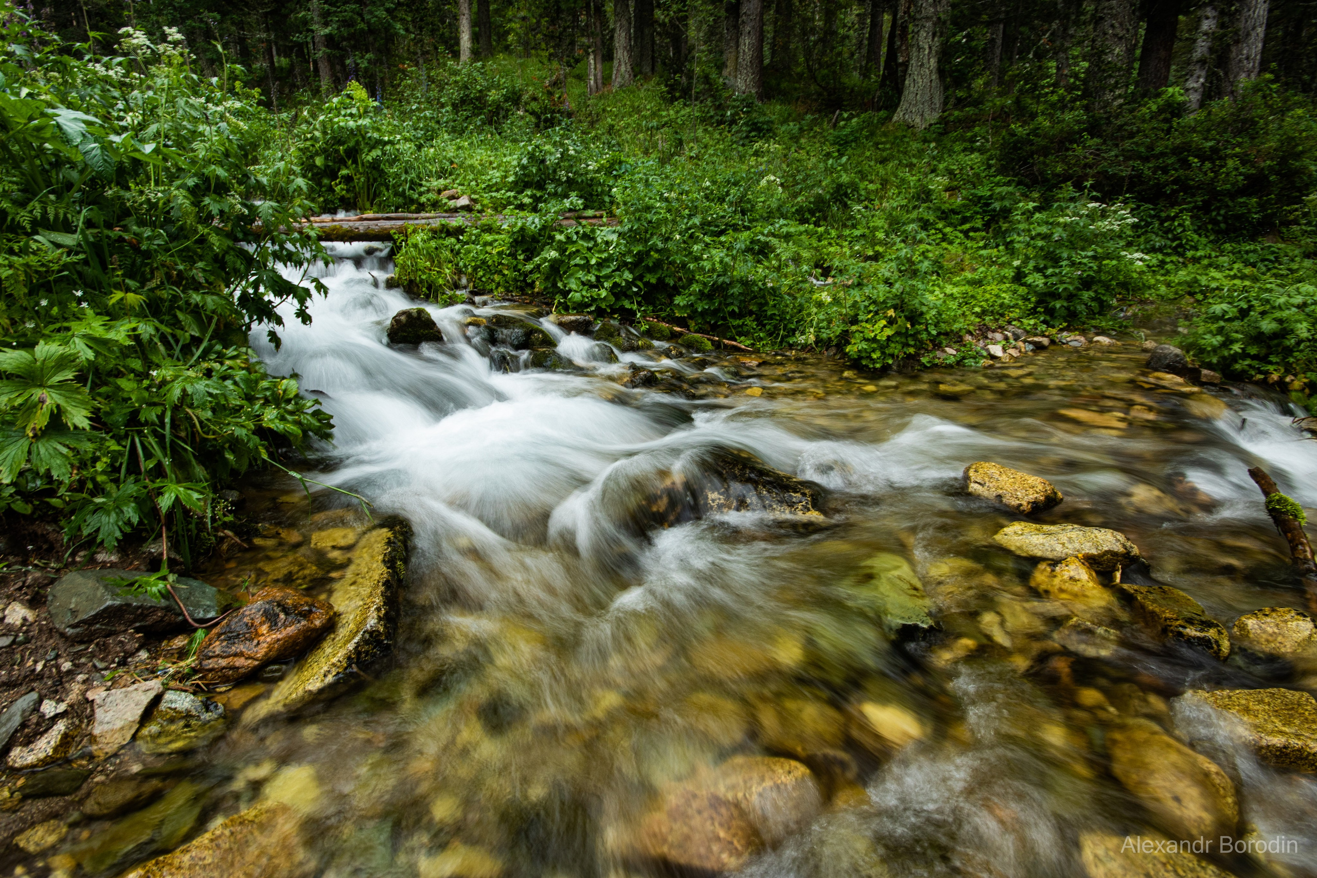 Пейзажи. Профессиональный фотограф Александр Бородин
