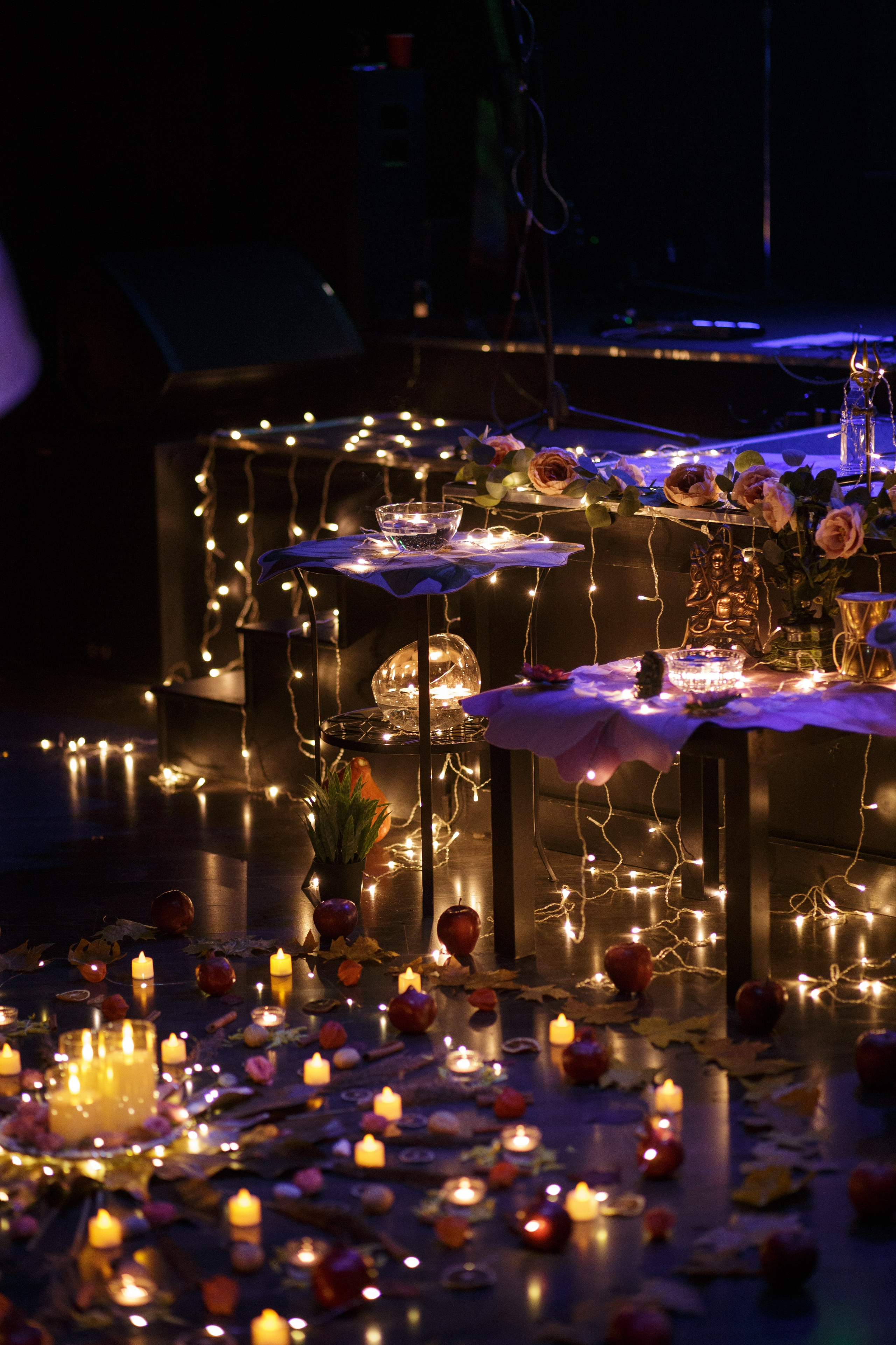 Концерт Gyan Saltus «RUDRA». Свадебный фотограф в Москве — Ольга Козловская