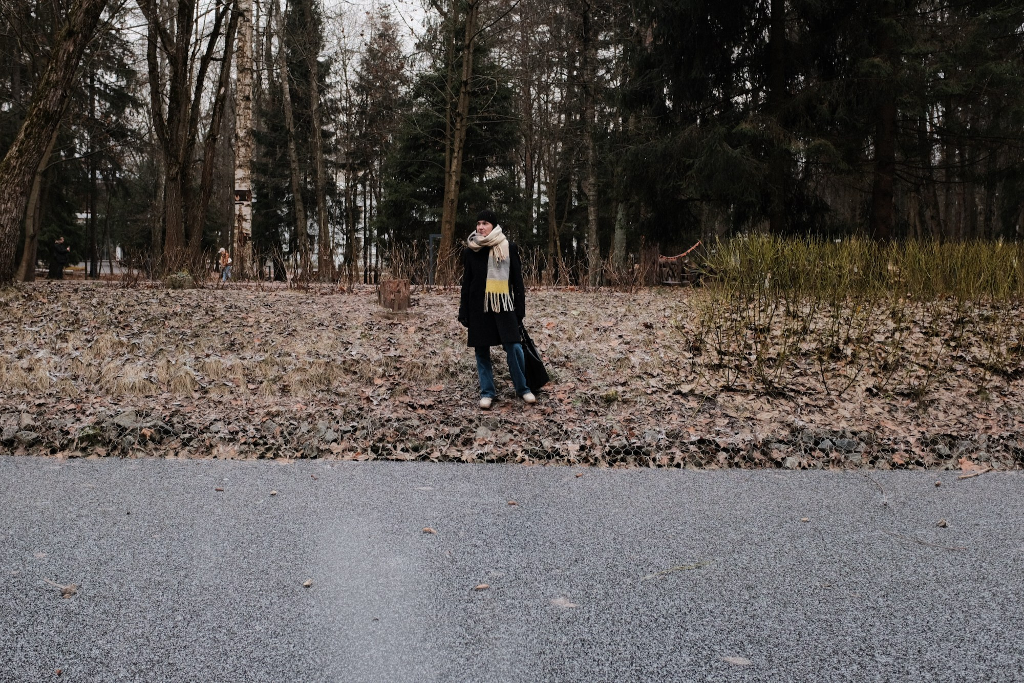 Настя в Переделкино. Дмитрий Бречалов