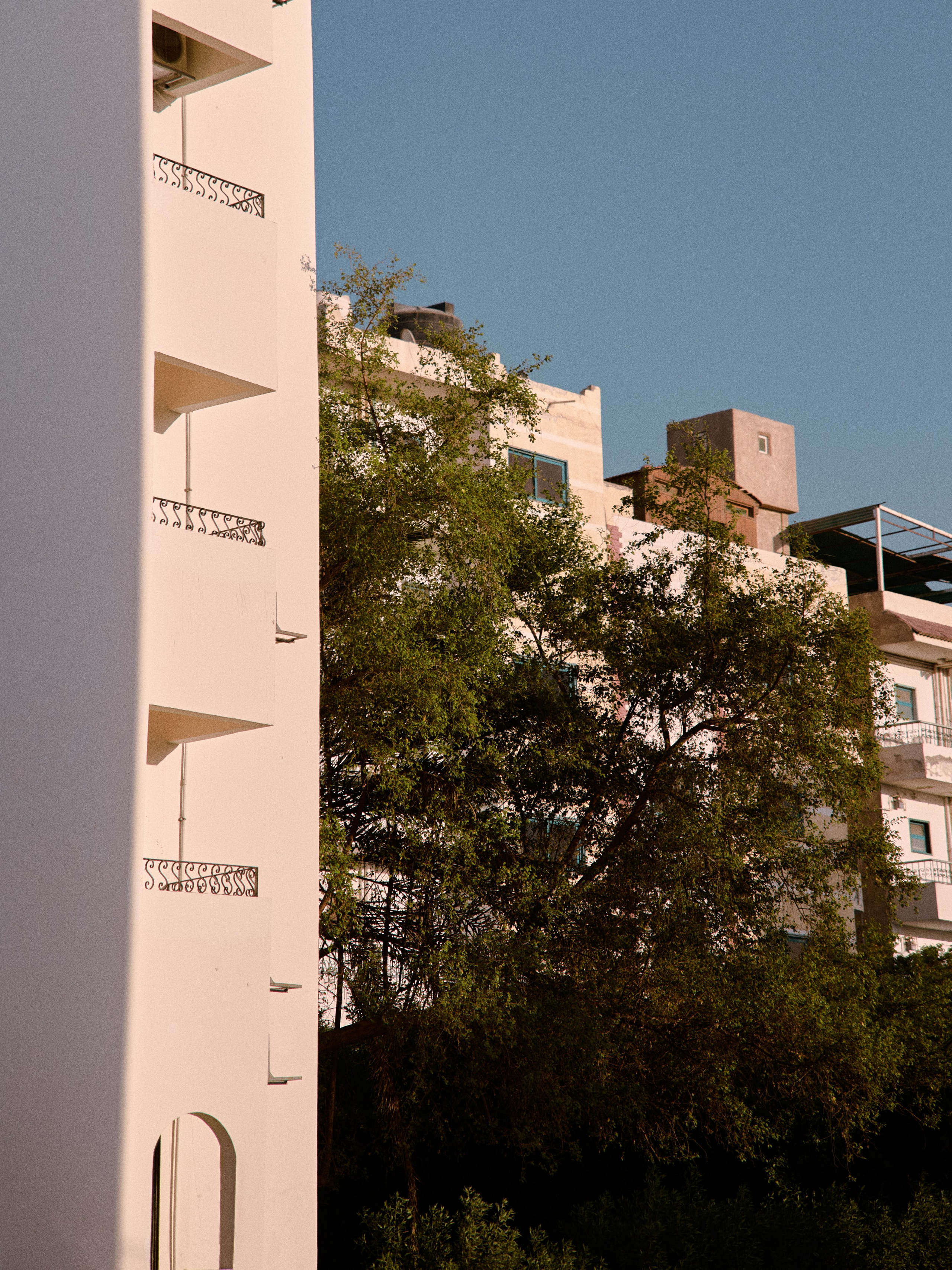 Другое 2. Jorgis Talè — photographer, kind person, teacher of arts and other mag