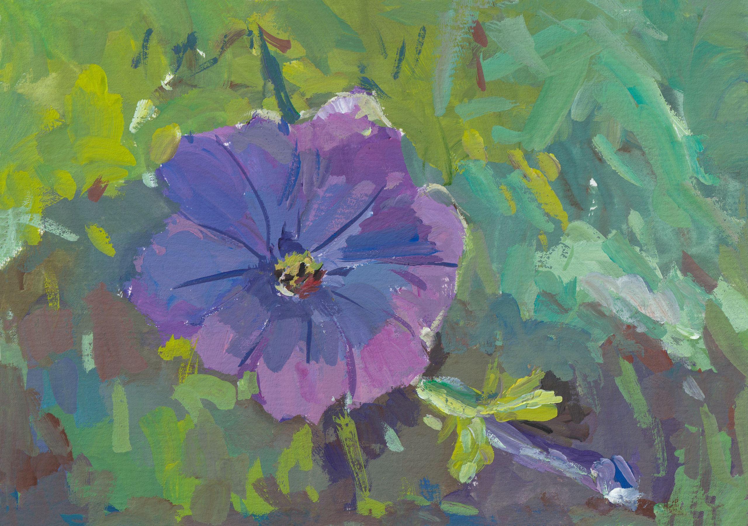 "Фиолетовая петунья" бумага, гуашь 14х20см, 2024