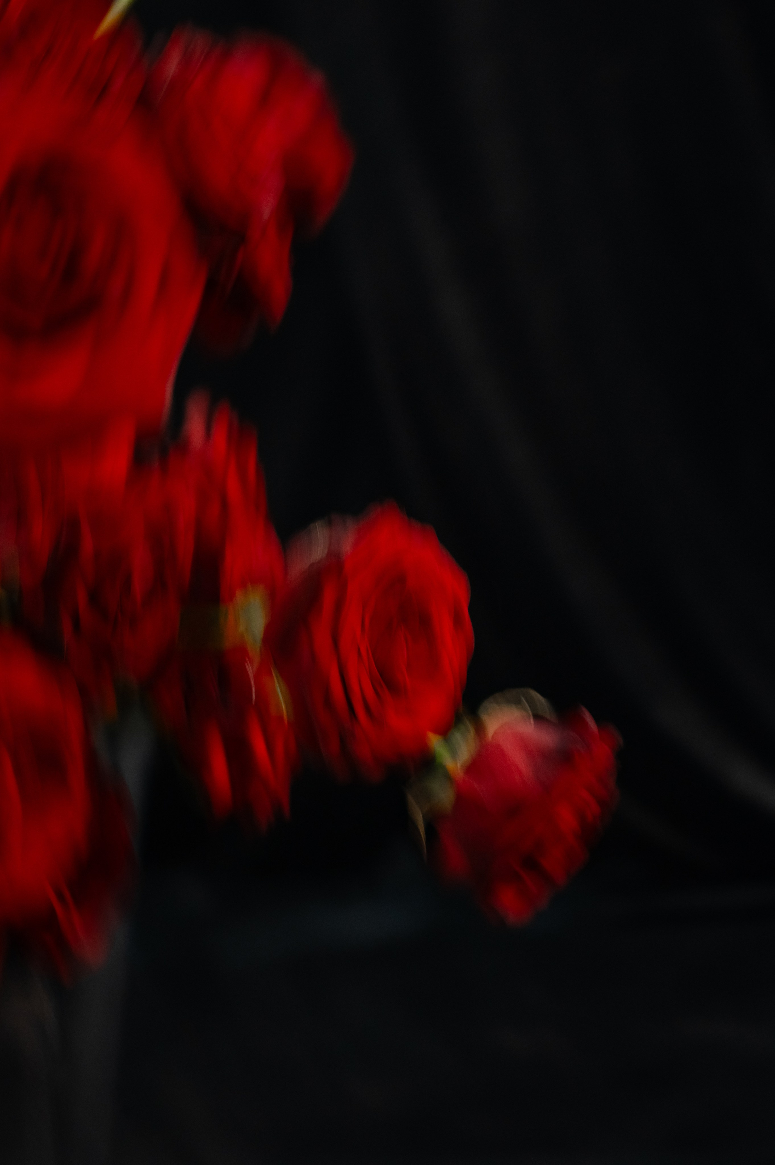 «I ROSE YOU» Нариман и София. Свадебный фотограф и видеограф