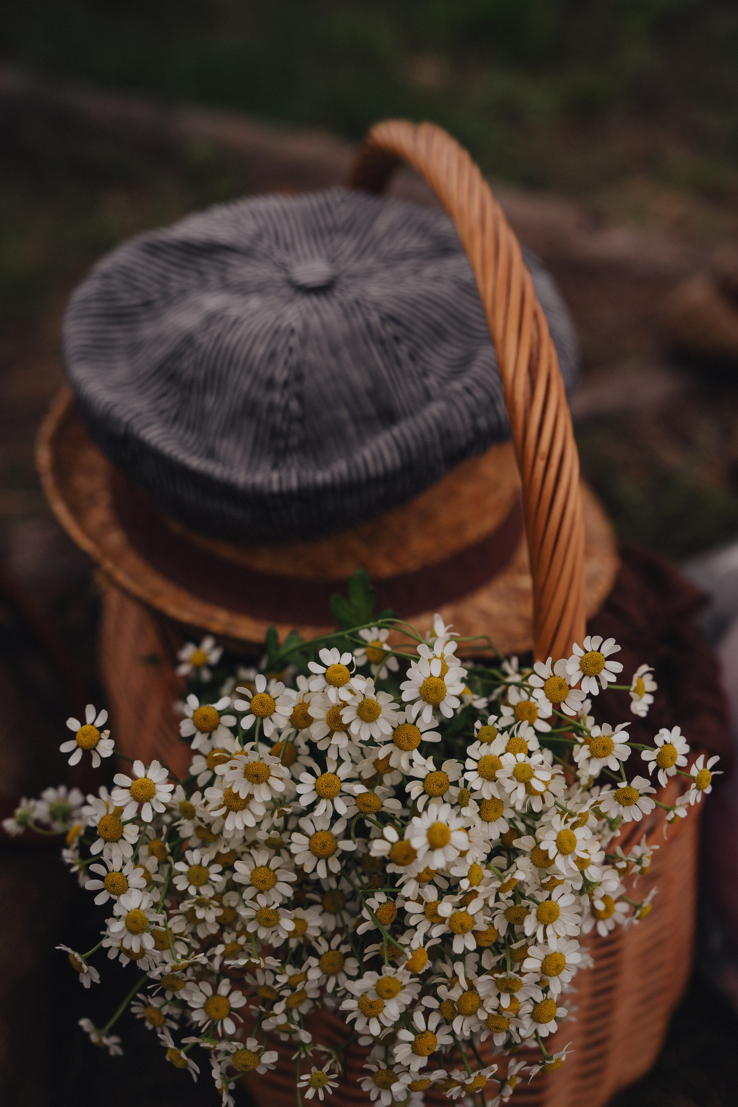 Счастье. Фотограф Екатерина Канчалаба