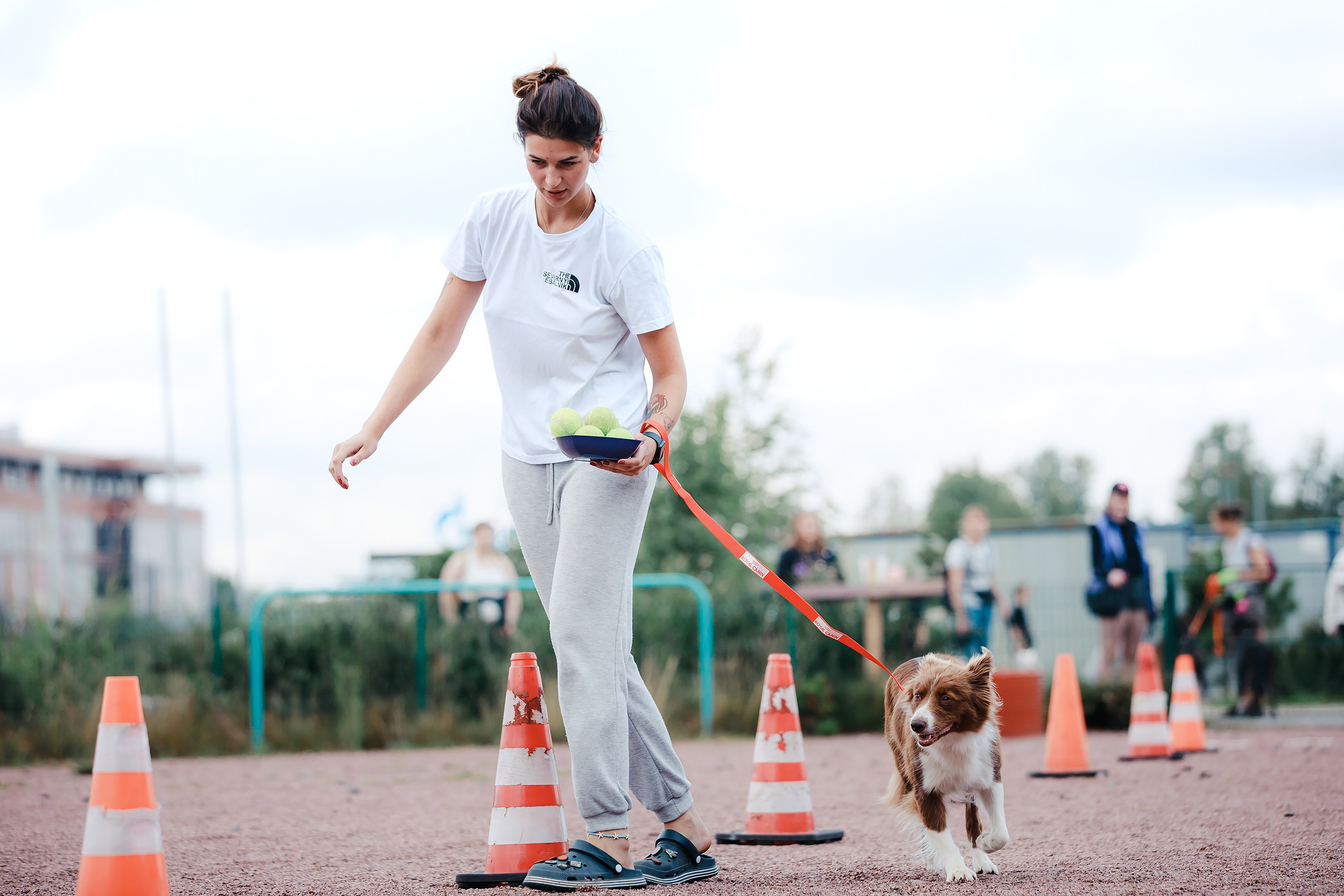 Питч&Гоу + веселые старты. Фотограф-анималист Mary Mart — Москва, Питер