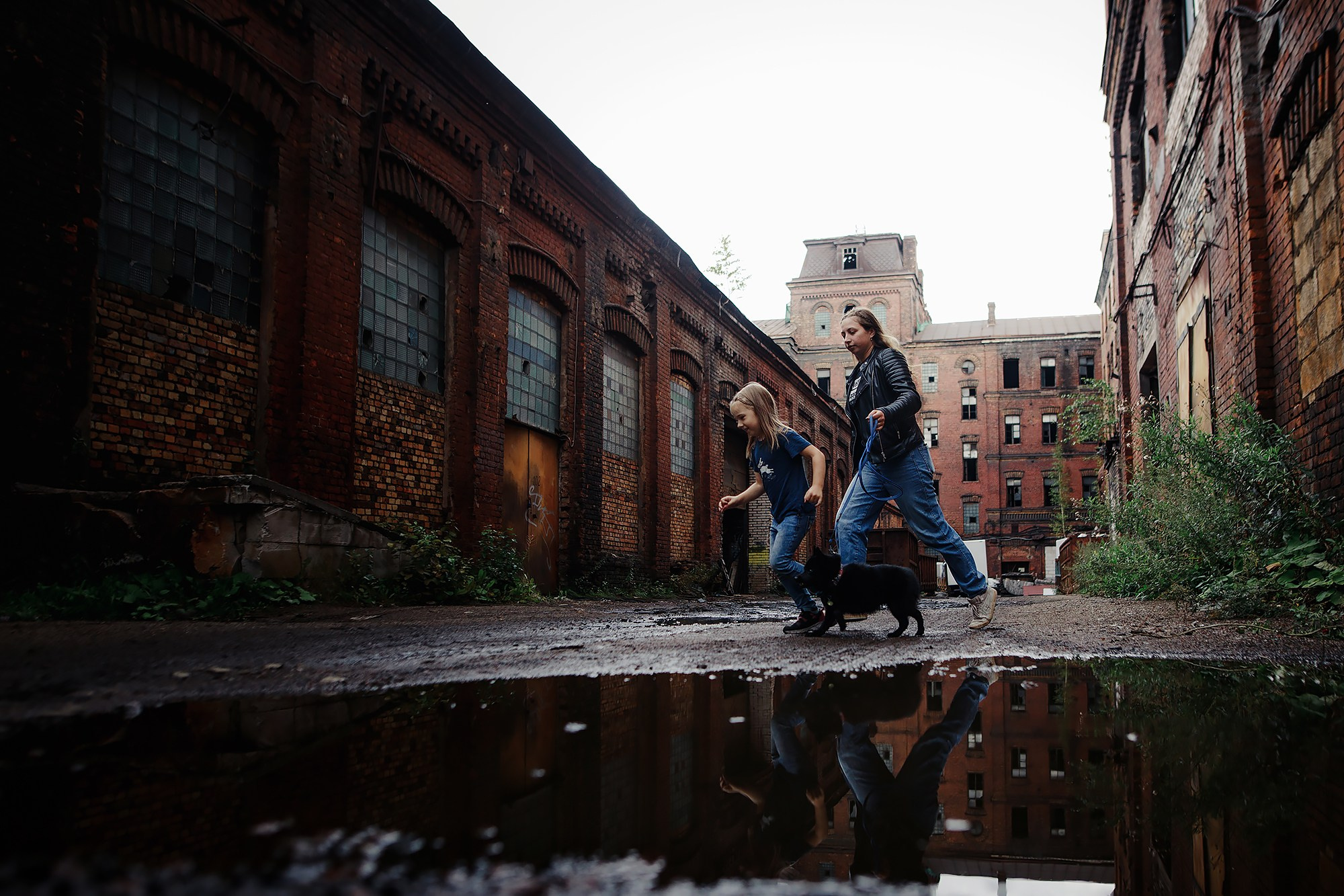 Саша, Маша и шипперке Йети. Фотограф-анималист Mary Mart — Москва, Питер