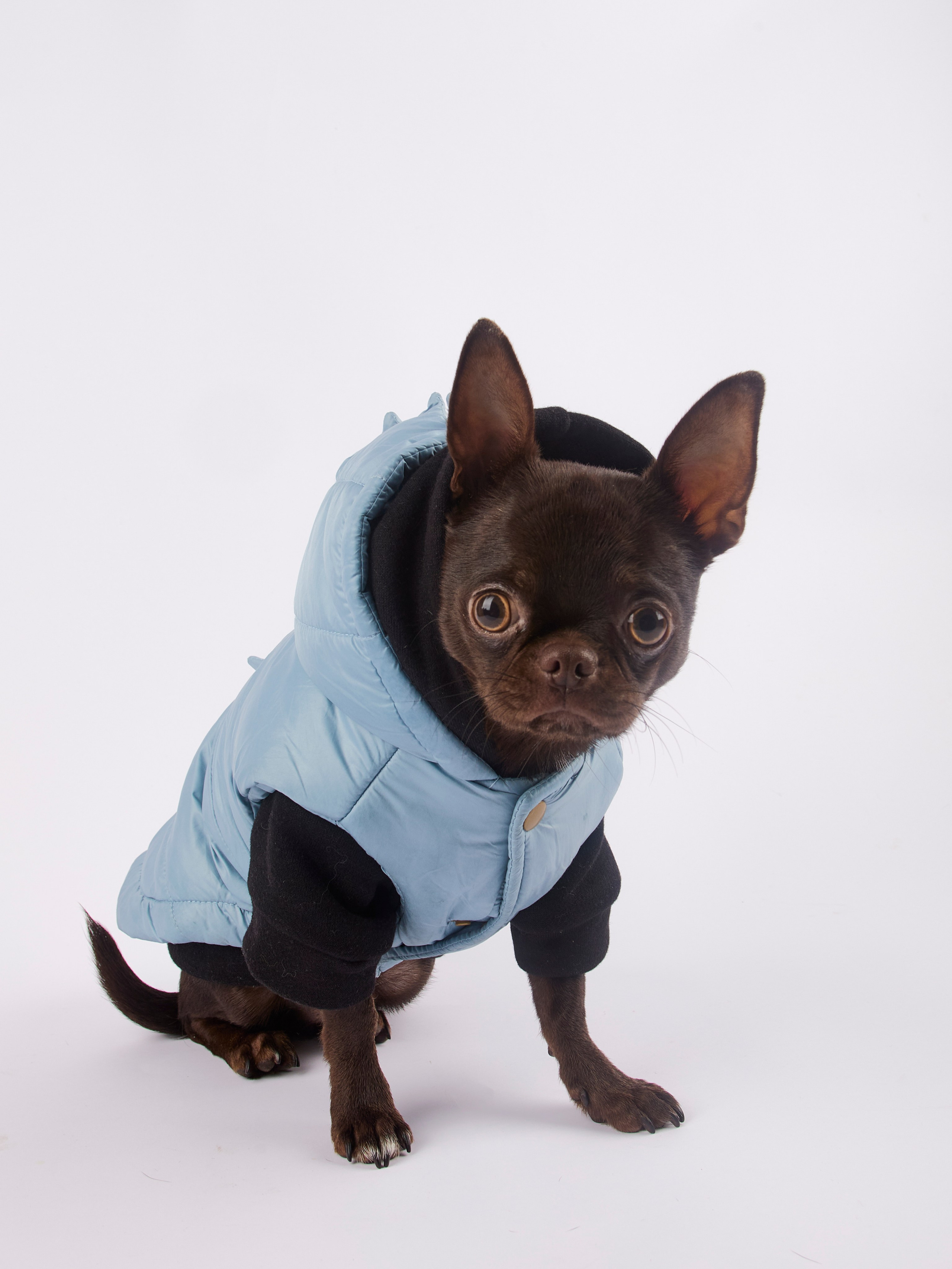 Чих Шпрот. Предметный и семейный фотограф в Санкт-Петербурге Катерина Стеклова