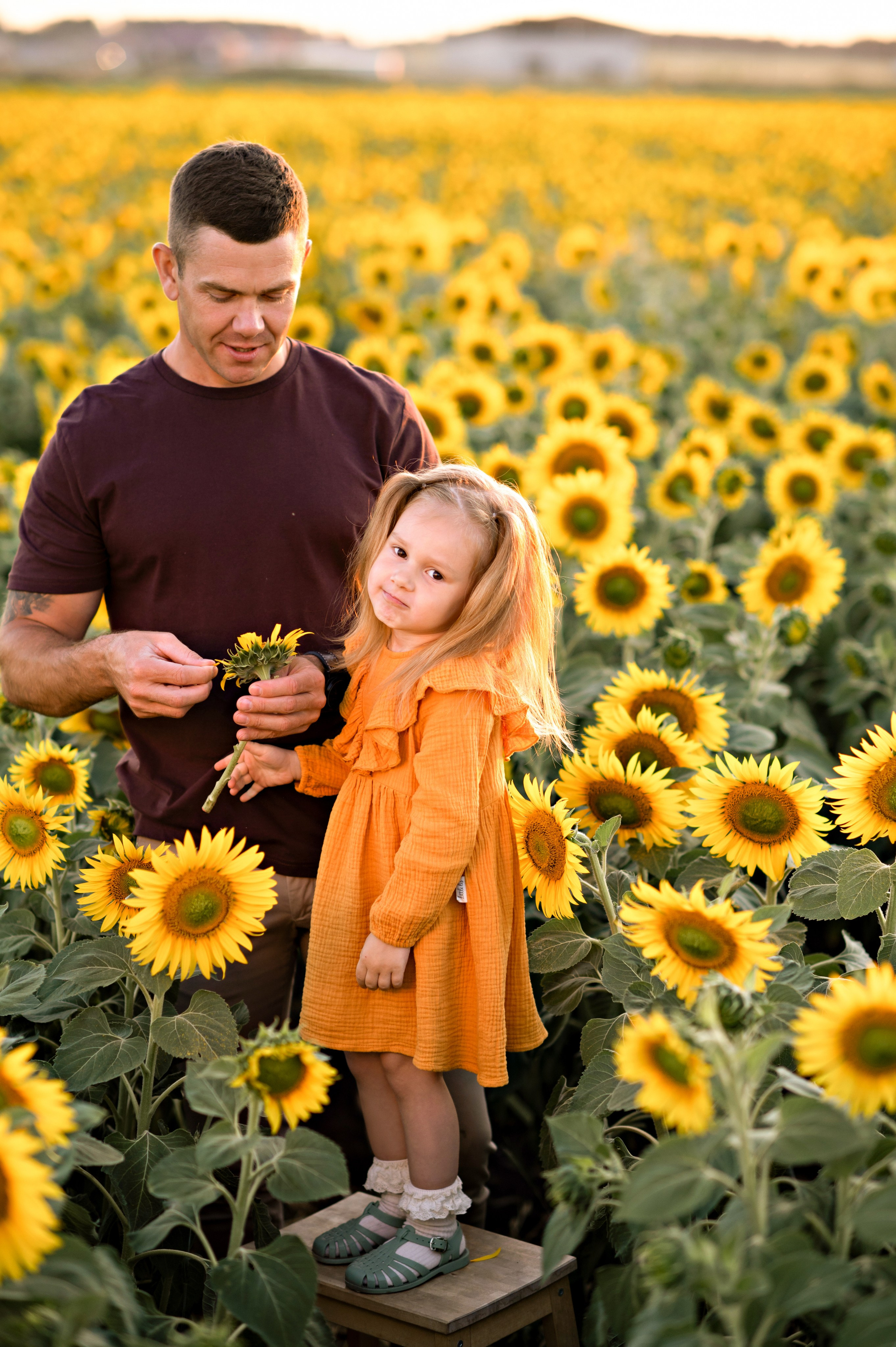 Подсолнухи. Семейный фотограф в Красноярске Надежда Кошелева