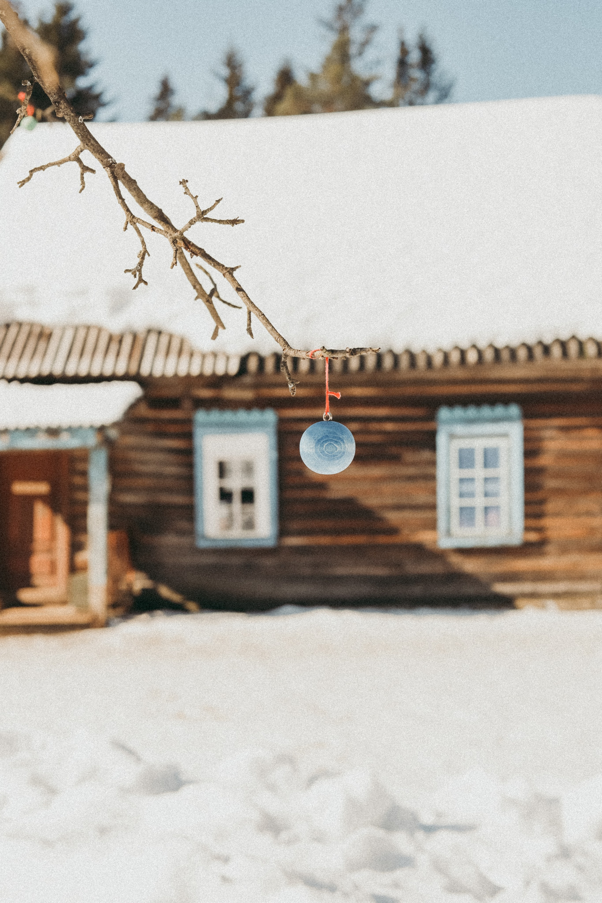 Ферма. Фотограф Москва и Санкт-Петербург