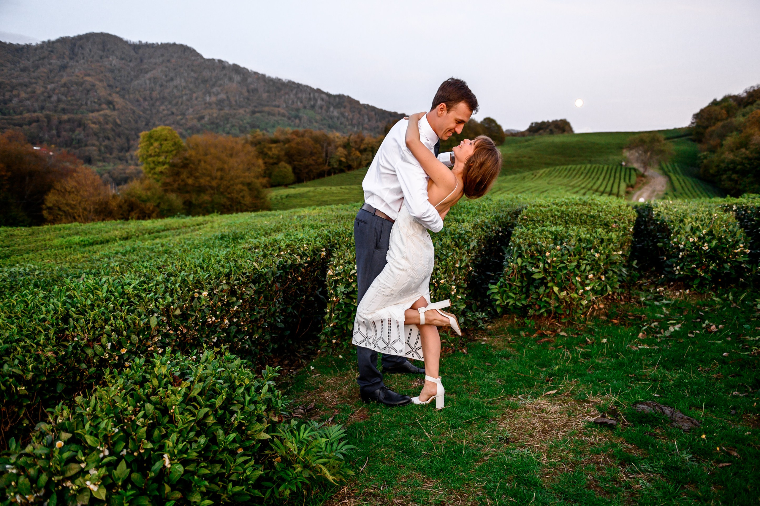 Чайные плантации. Олег и Светлана. Свадебный и семейный фотограф София Невская