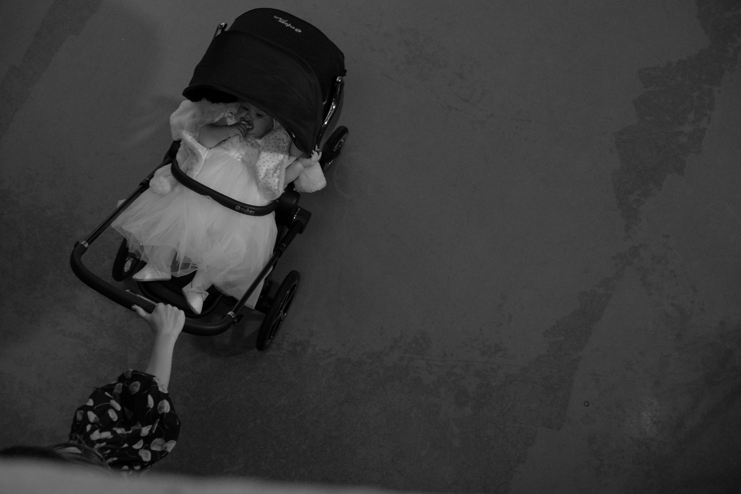 Ну мёёёд!. Свадебный фотограф Алина Хабарова