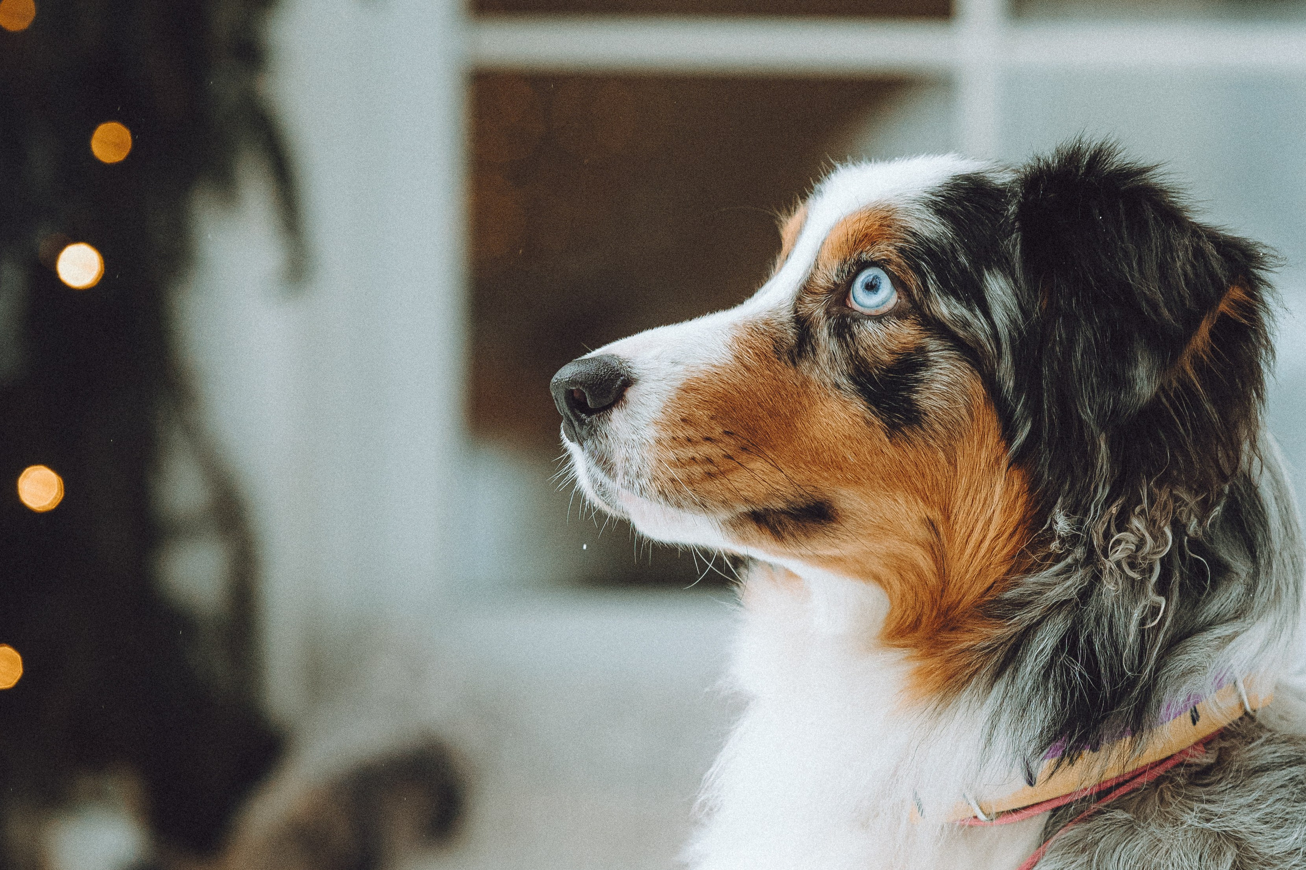 Фаня и ее семья