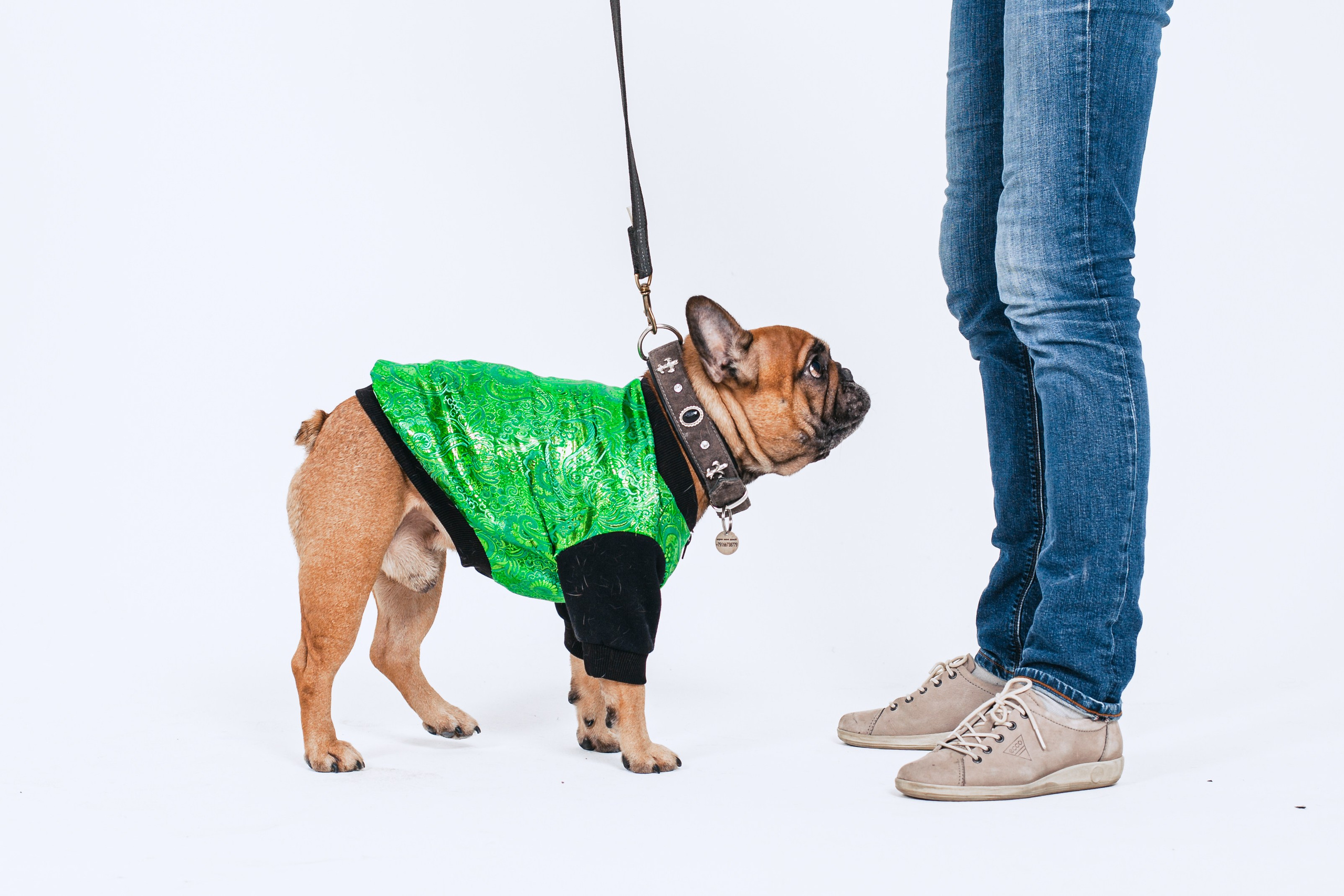 Пижамная вечеринка французских бульдогов и их хозяев. Фотограф-анималист Татьяна Степанова