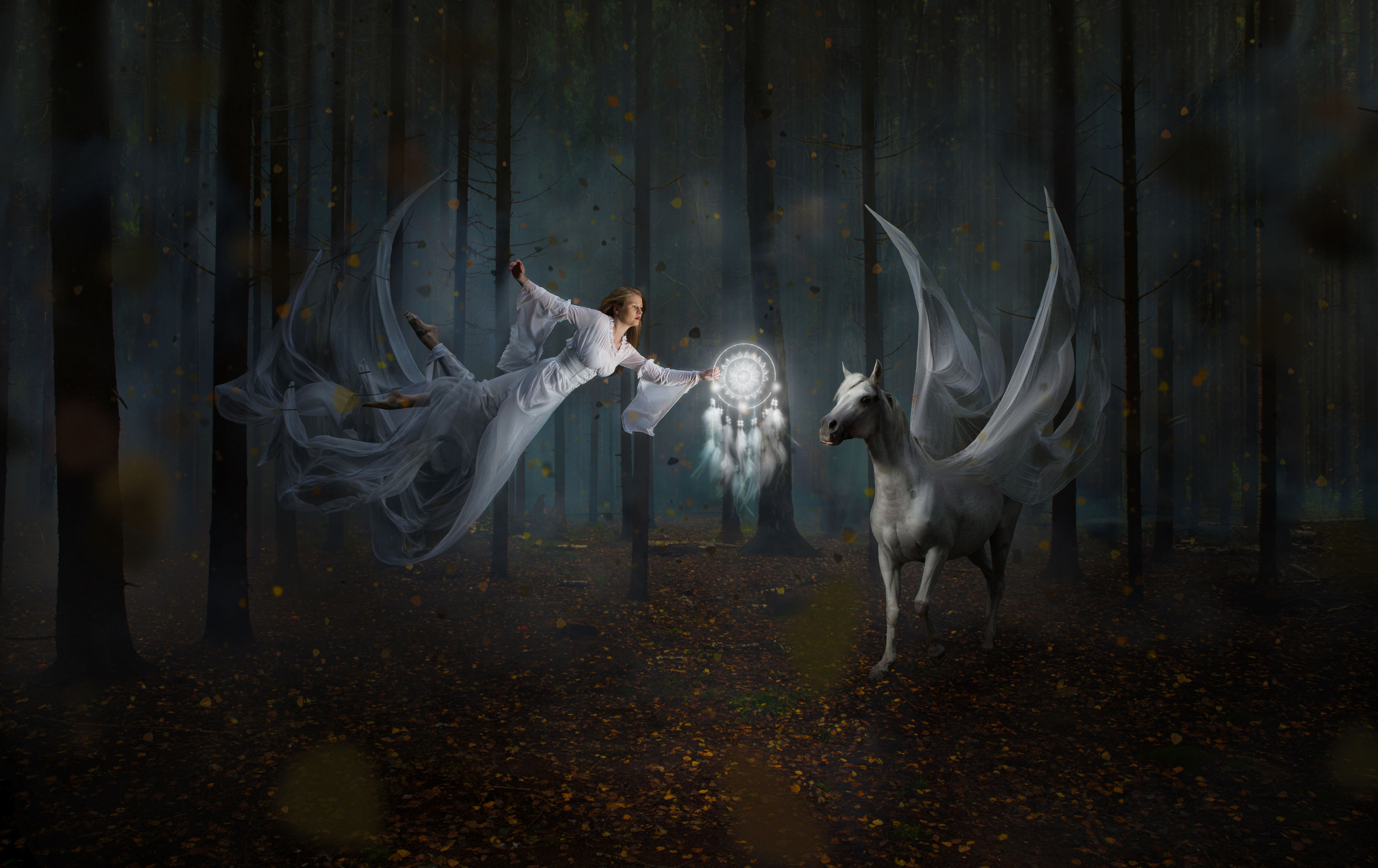 Art Photography Portfolio. Alexander Chaldryan Photography