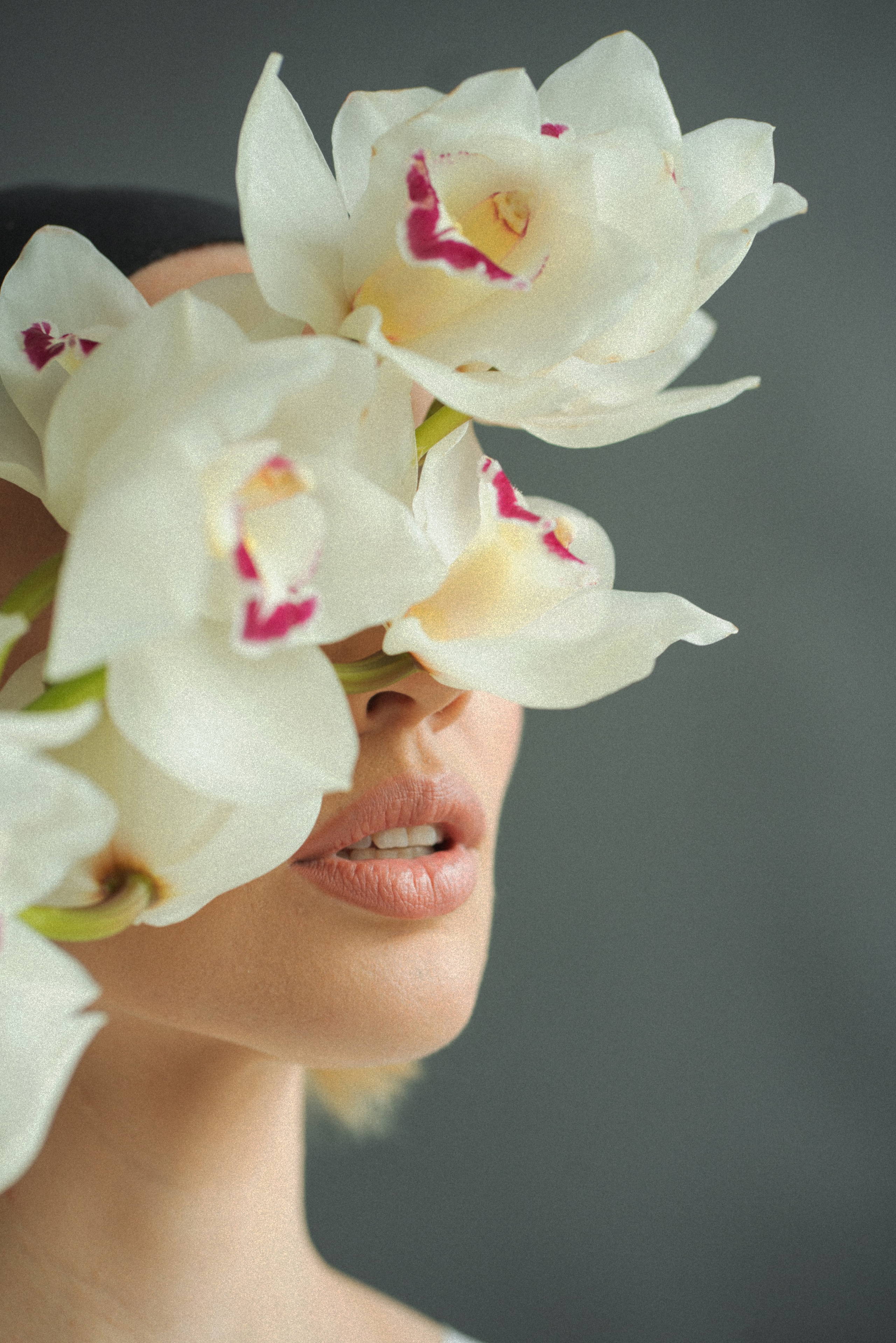 Зелёный мир. сеть цветочных салонов. Фотограф Анастасия Дёмина