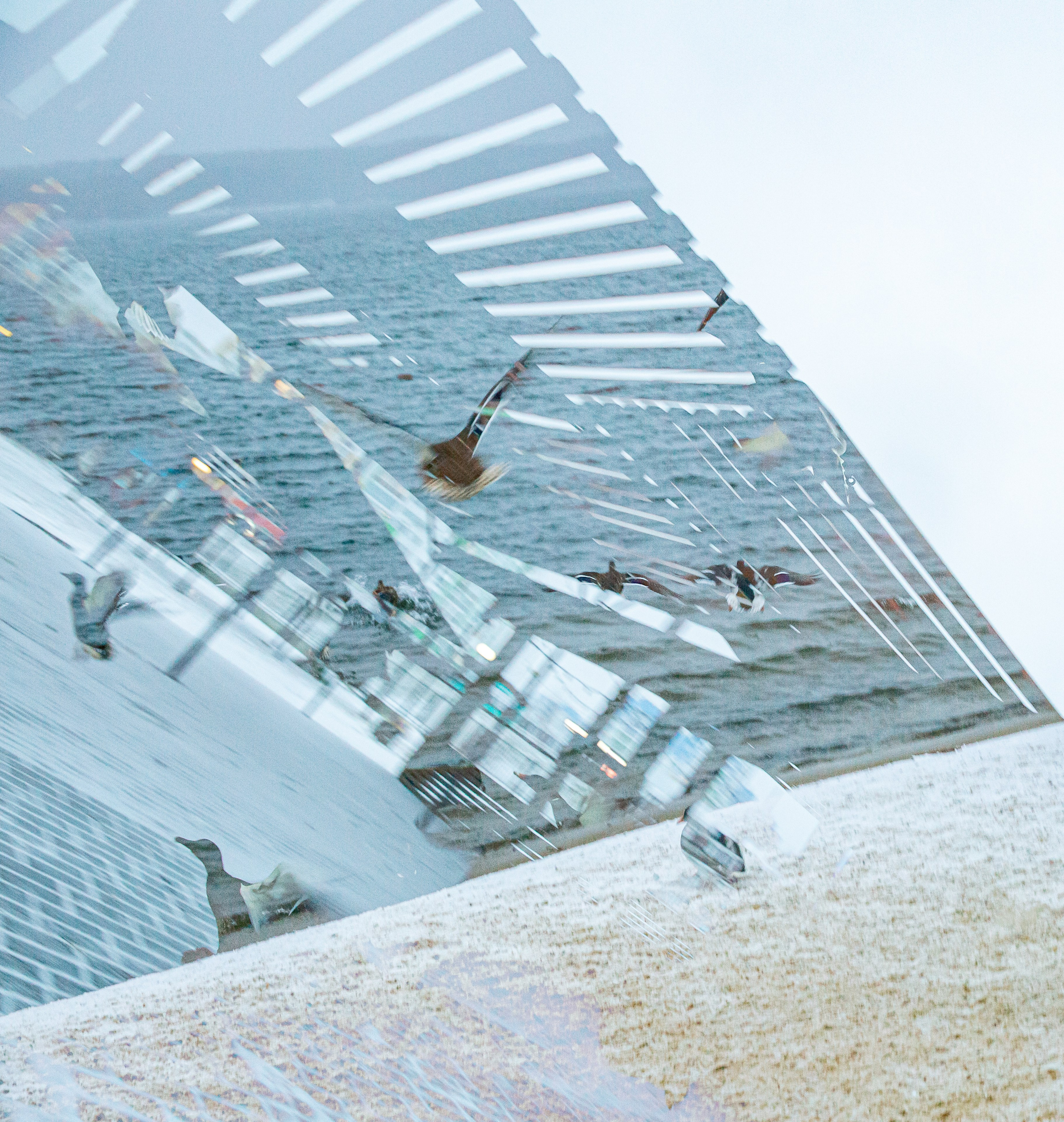 СТРОФА 2 — ЦВЕТОВЕДЕНИЕ. Photographer Anna Arzamastseva