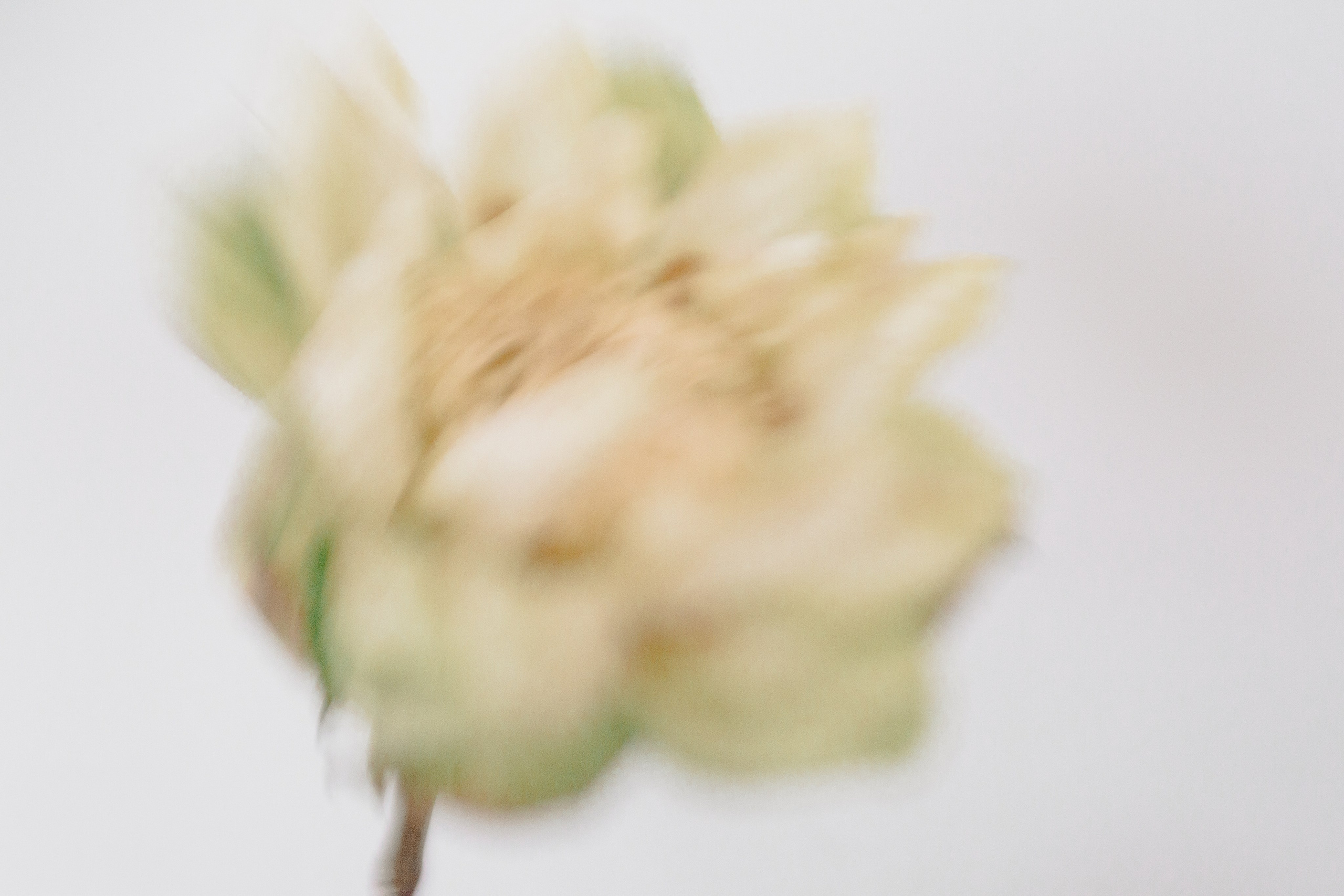 Елена, мастер тайцзи. АННА ВЕРСО / ANNA VERSO | Визуальный художник / Visual artist