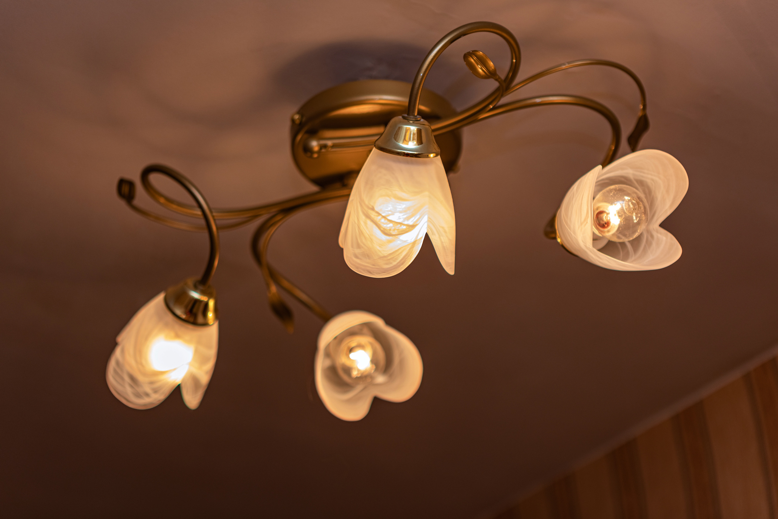 6. Фотограф в Санкт — Петербурге Анна Конофало