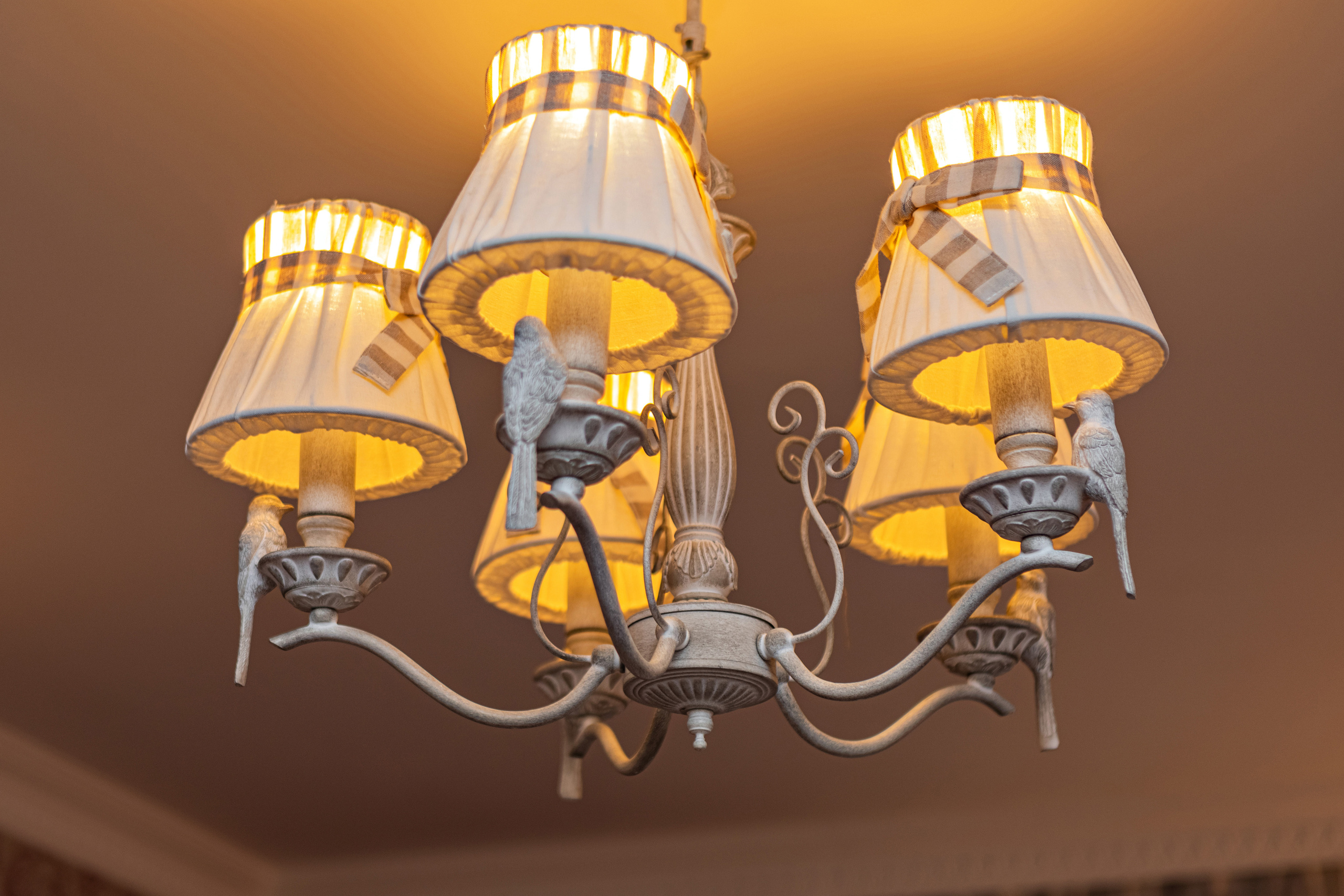 2. Фотограф в Санкт — Петербурге Анна Конофало