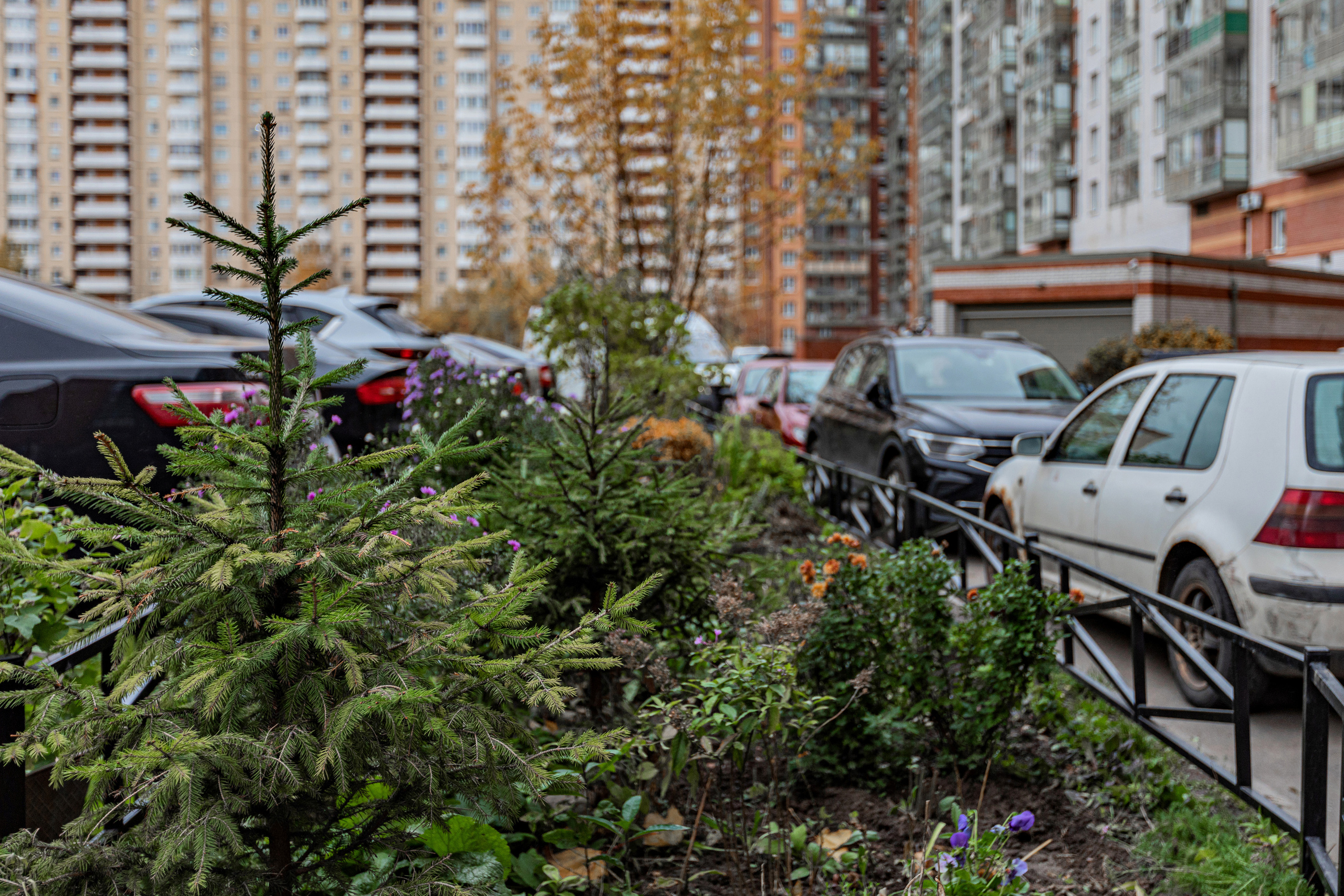 3. Фотограф в Санкт — Петербурге Анна Конофало