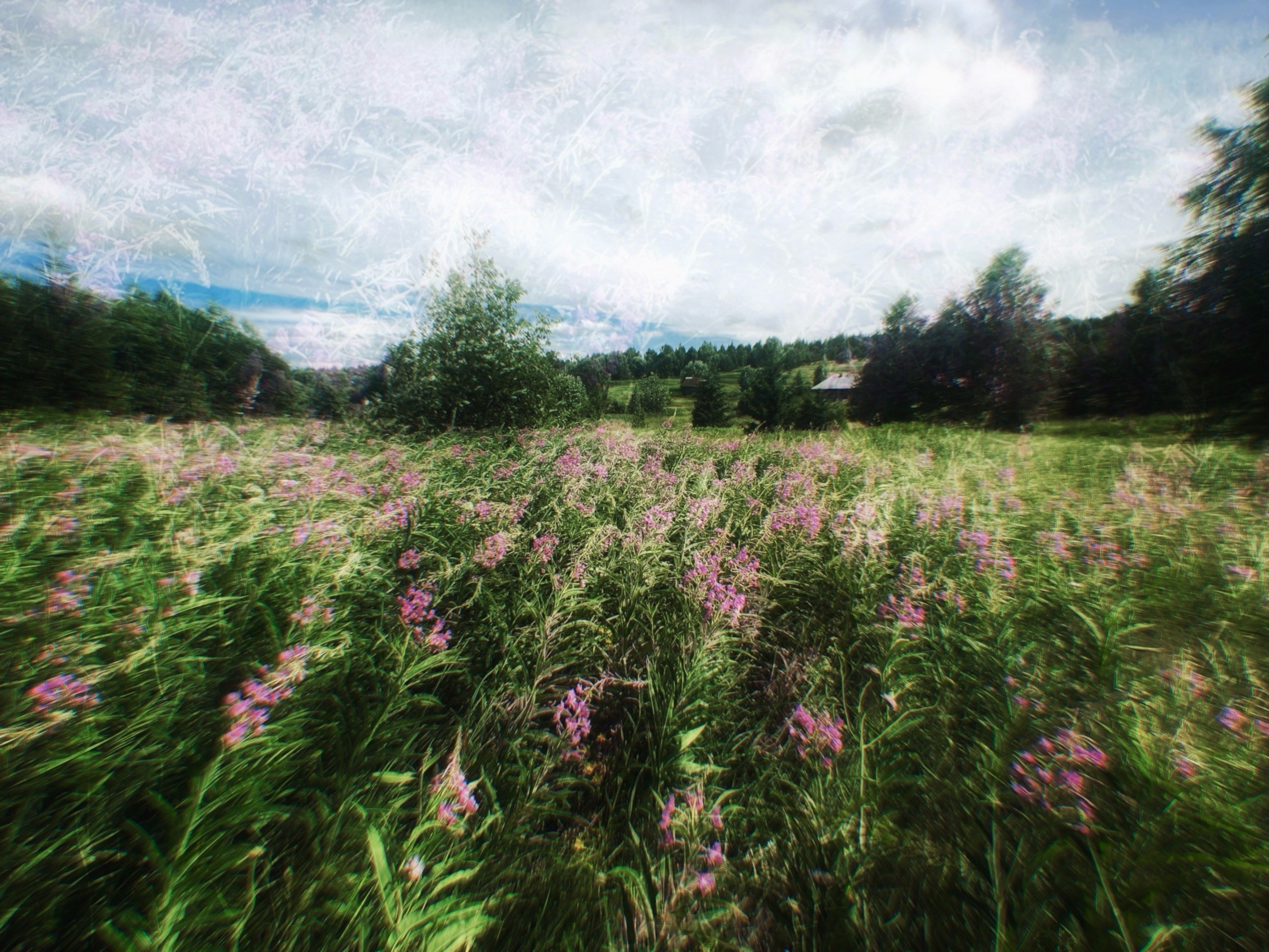 Фотоальбом: Алхимия Жизни. VITA · visual therapy arts