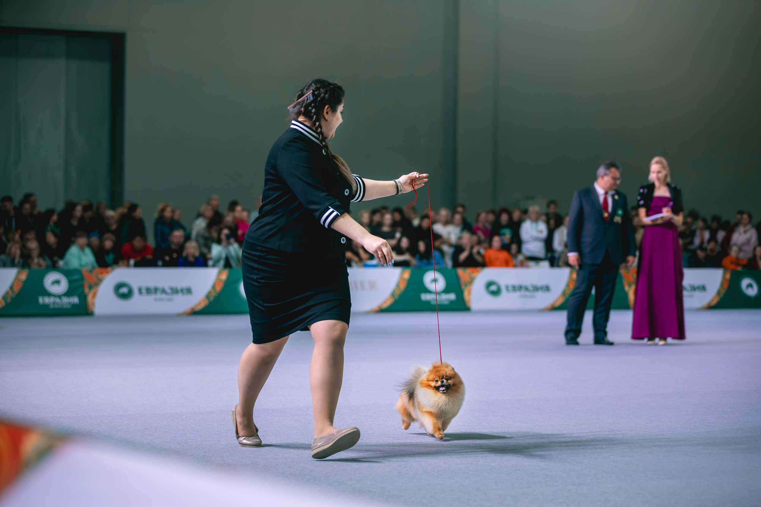 Евразия 2023. Фотограф анималист в Москве Майорова Евгения