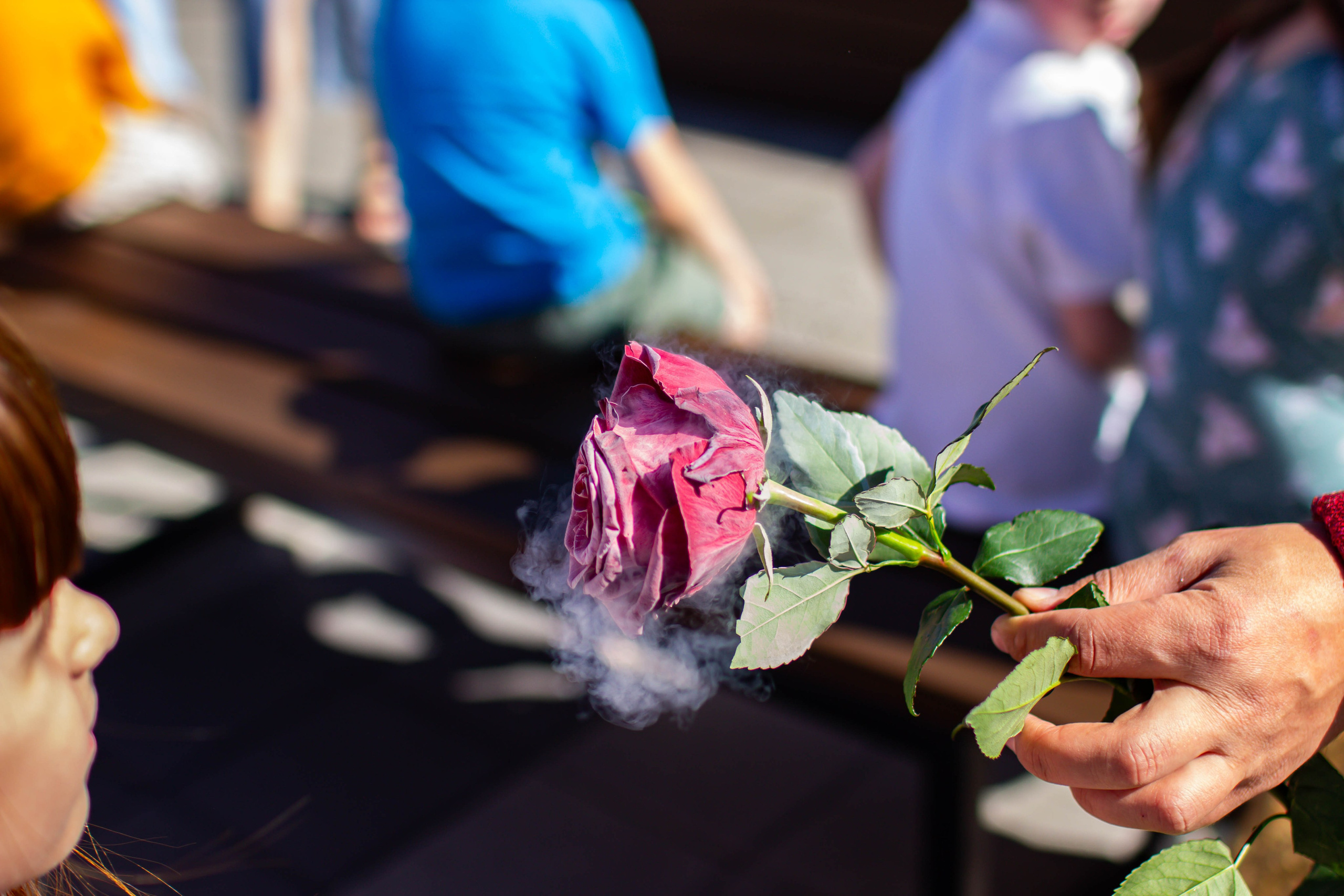 Budapesht. Фотограф Анастасия Абрамова