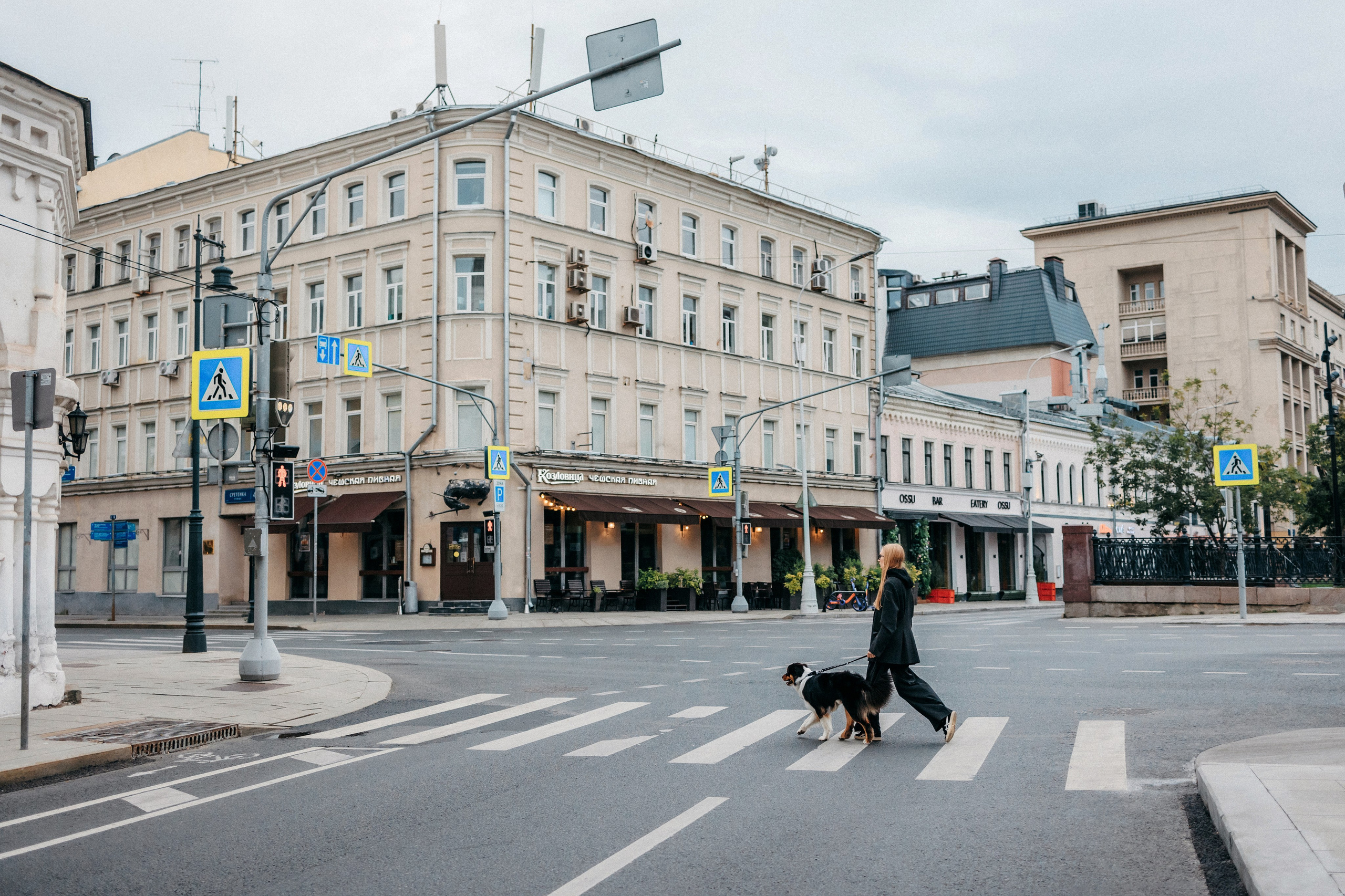 Лена и Рэй. Фотограф-анималист Елена Радченко, Москва