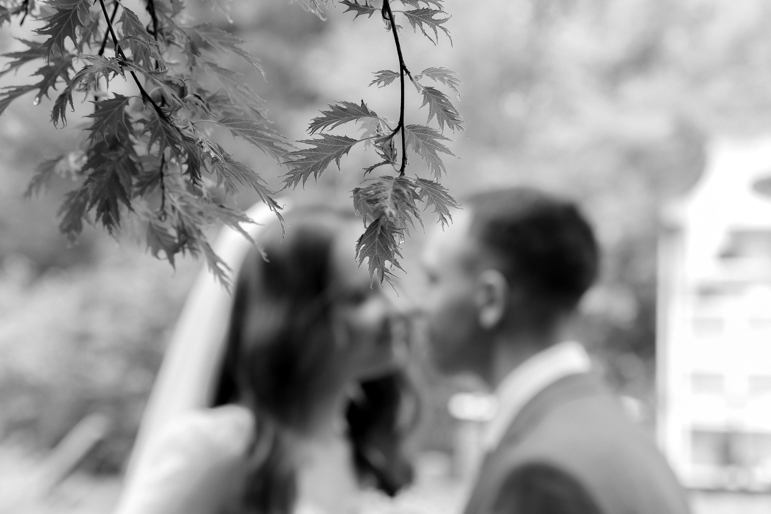 Избранные работы. Свадебный и репортажный фотограф в Новосибирске Матлак Дарья