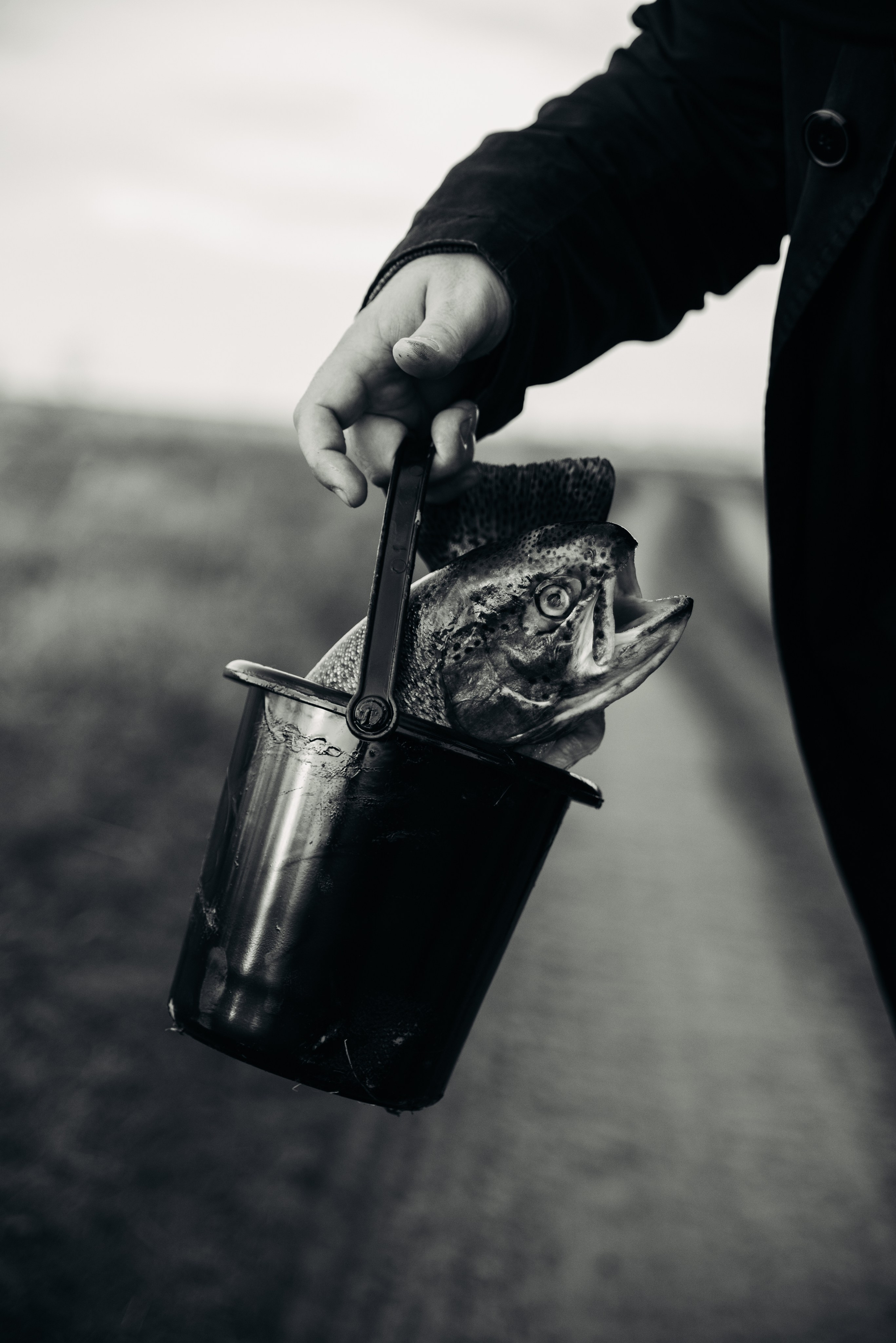 Человек и Рыба. Главная