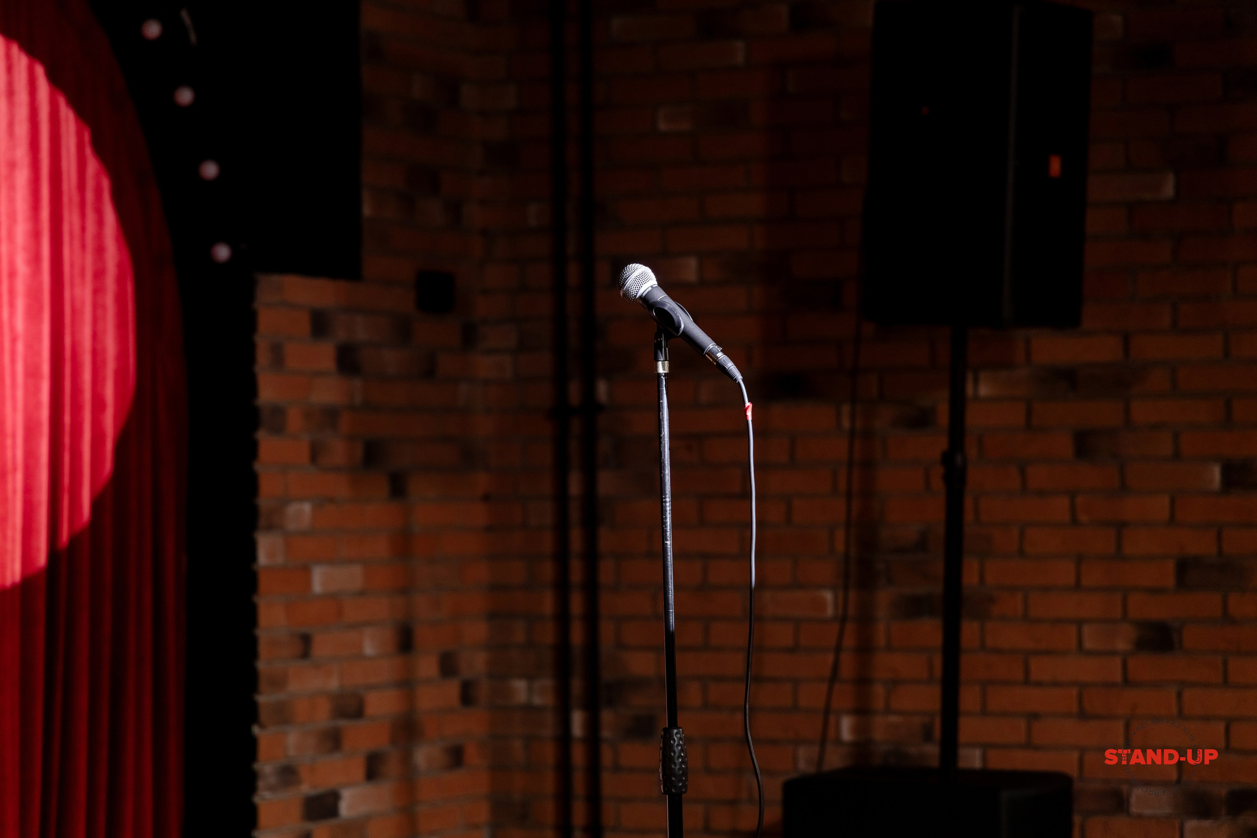 ПРИМЕР: Станислав Старовойтов. StandUp. Все фото. Профессиональный фотограф в Ижевске Леша Петров