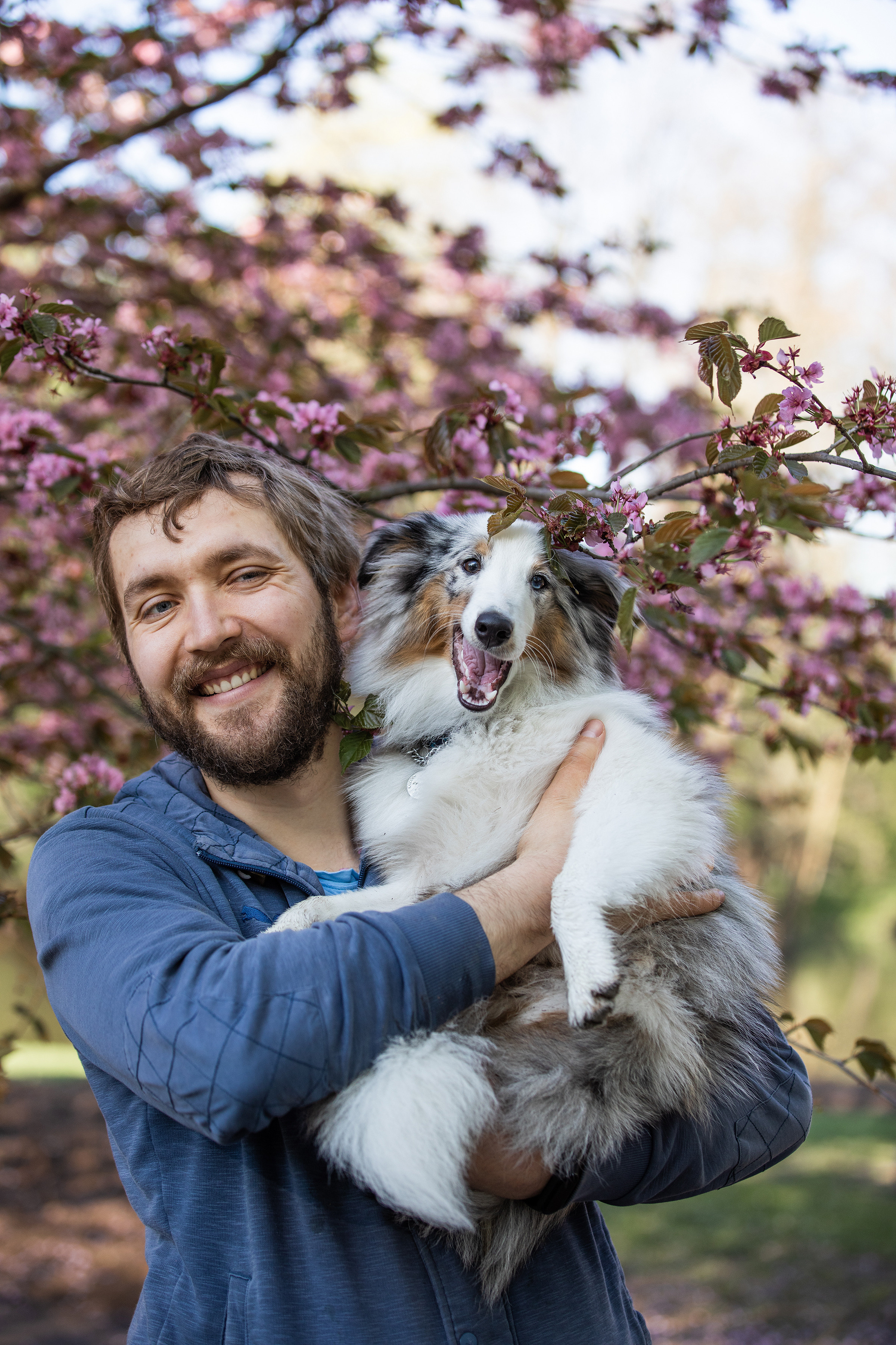 Собаки и не только. Фотограф Алена Звездина