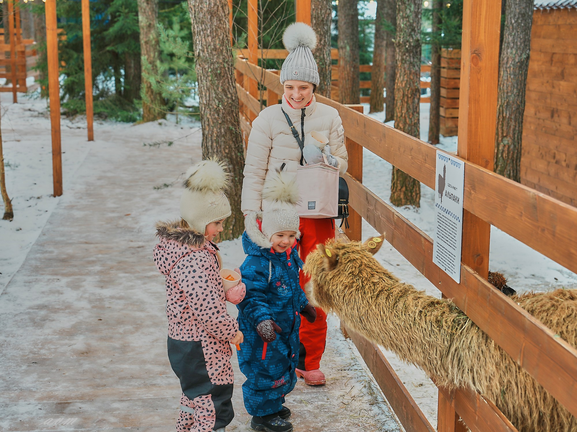 Новый год 2024-2025 Охта Парк. Фотограф Михеев Андрей