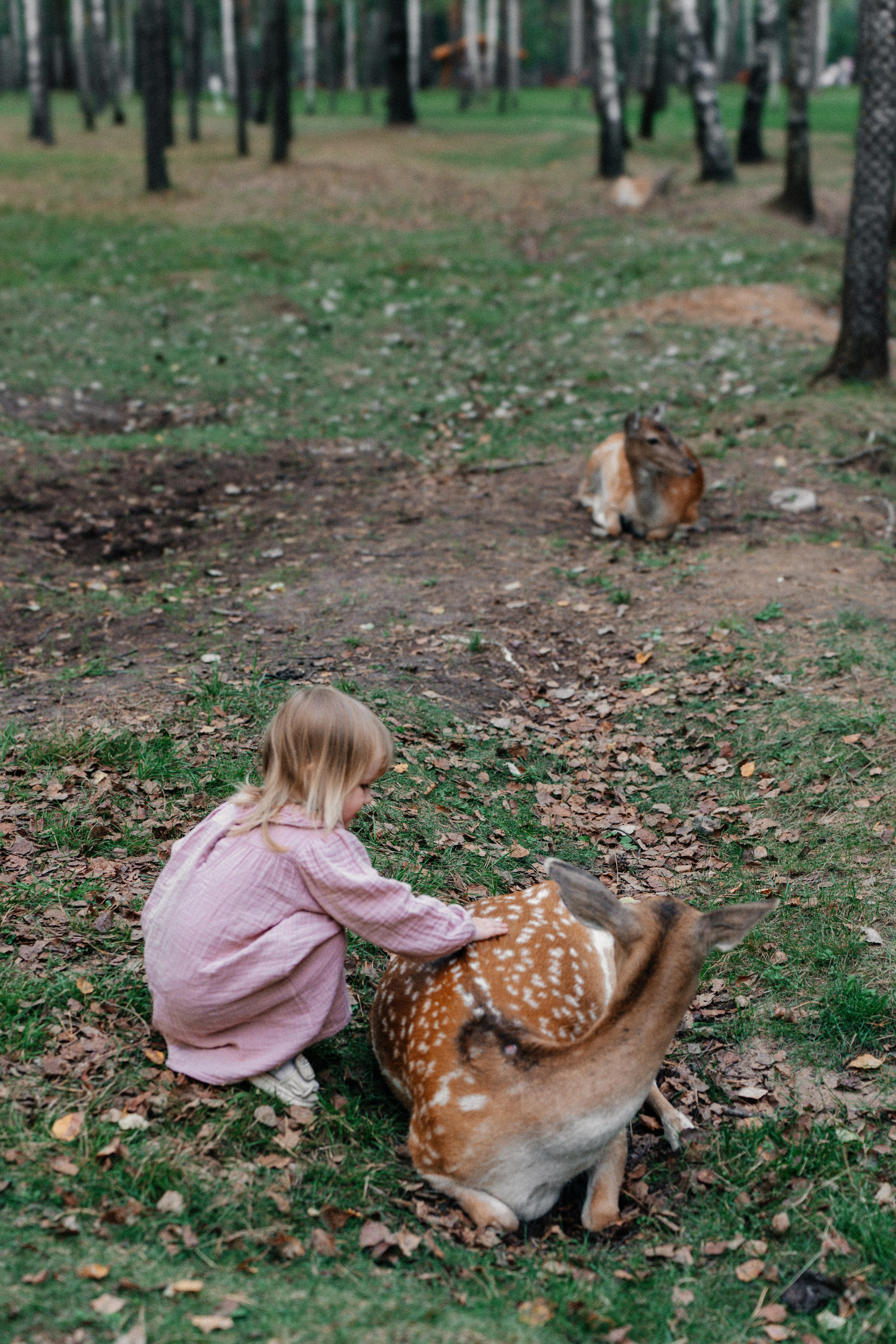Диприз — в мире диких животных. Ваш семейный фотограф в Минске — Вика Трегубова