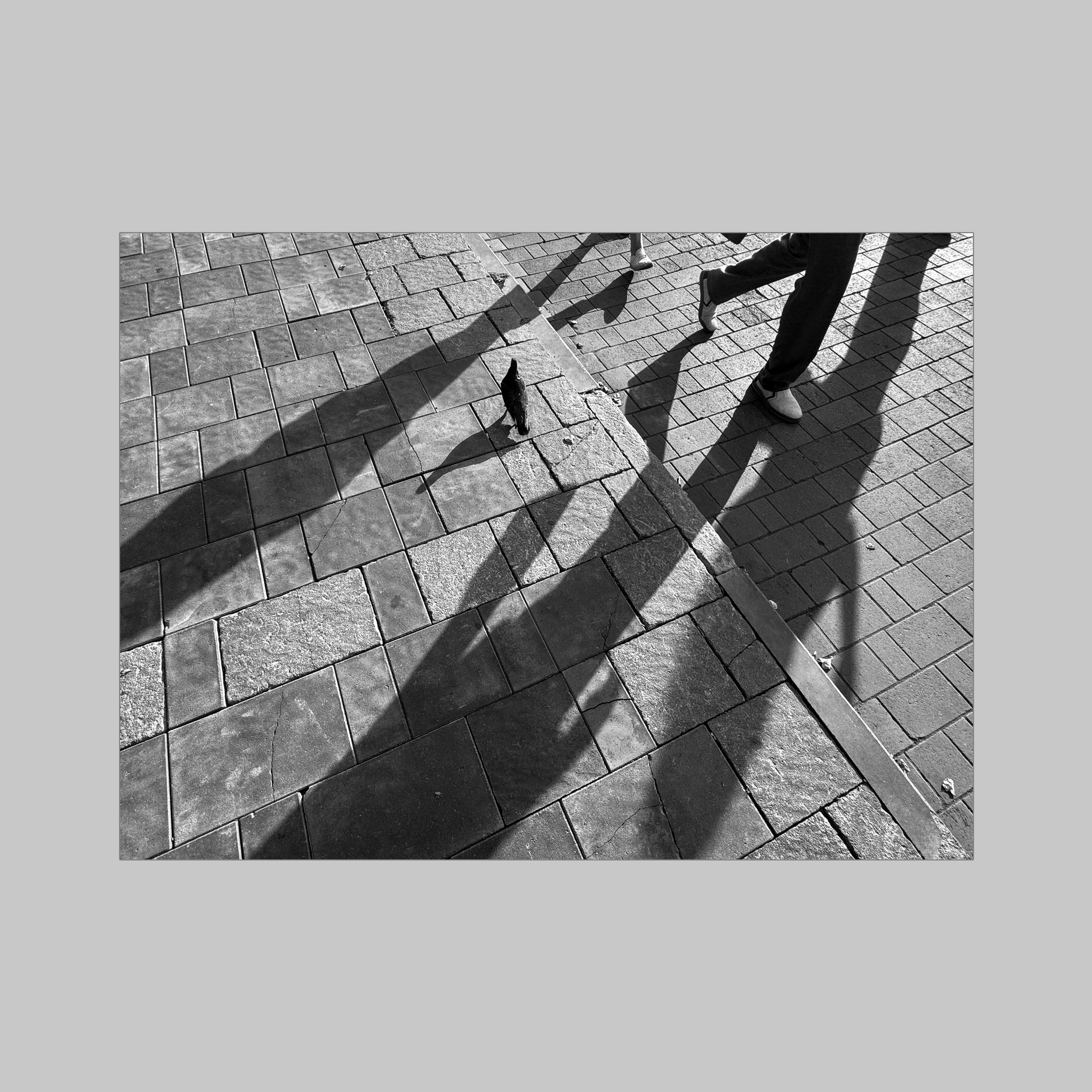 Городская сюита. Фотограф Юлия Близнецова