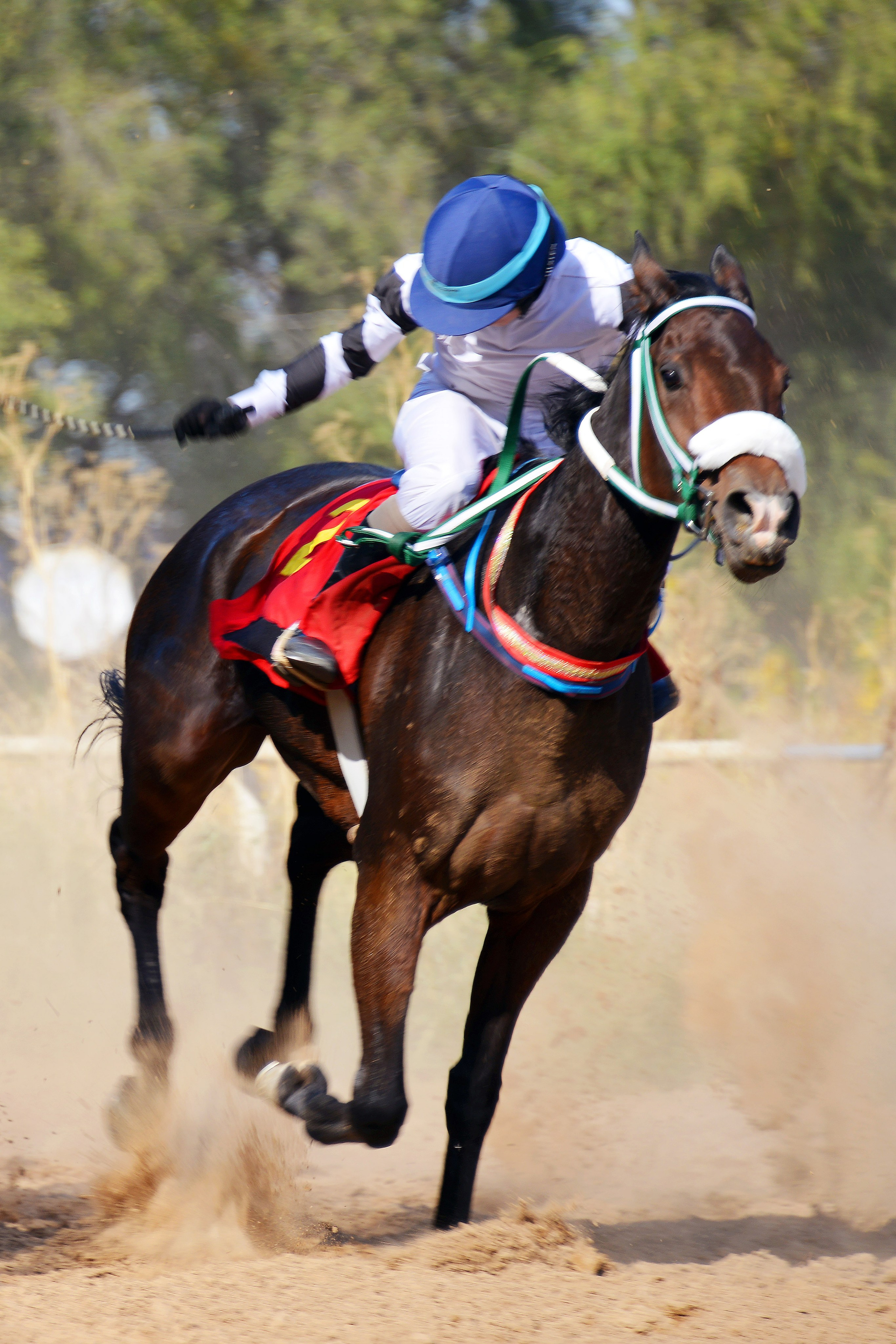 Скачки. Фотосъёмка. Фотограф Сергей Авдеев-семейный и детский фотограф в Алматы
