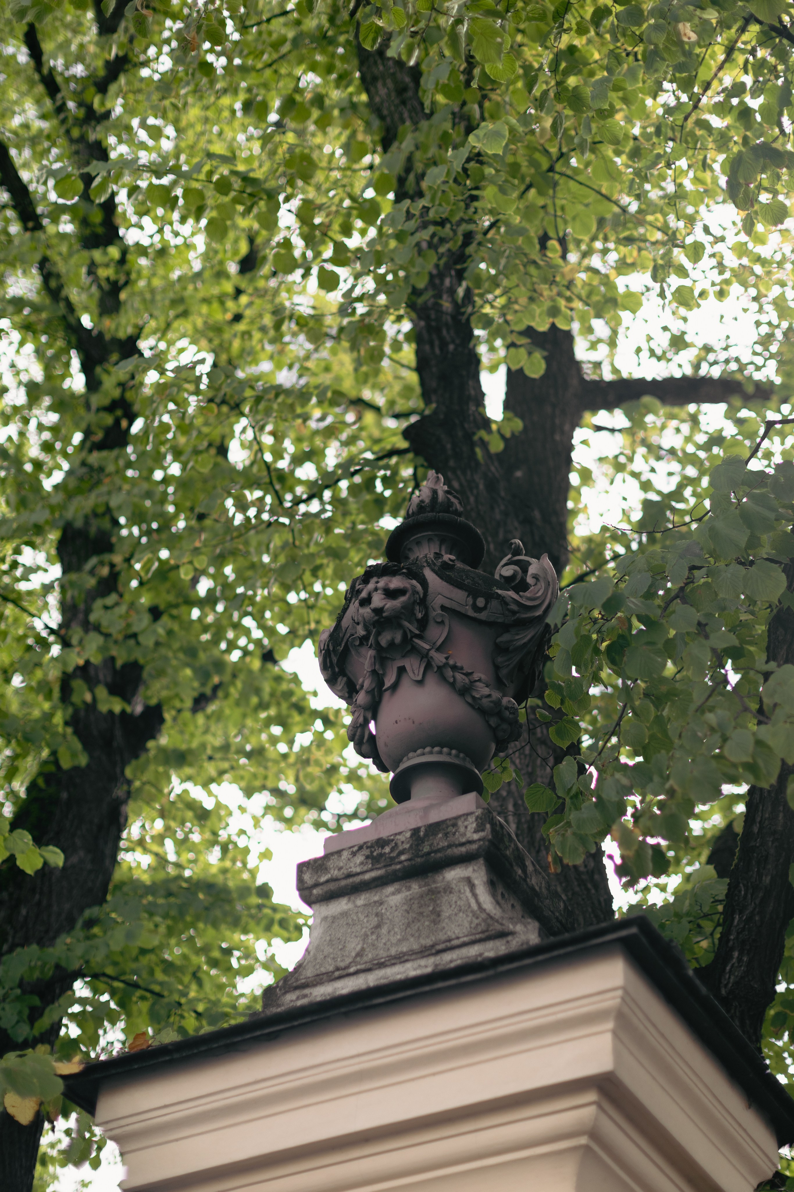 Денис и Ольга. @dariazphoto свадебный фотограф